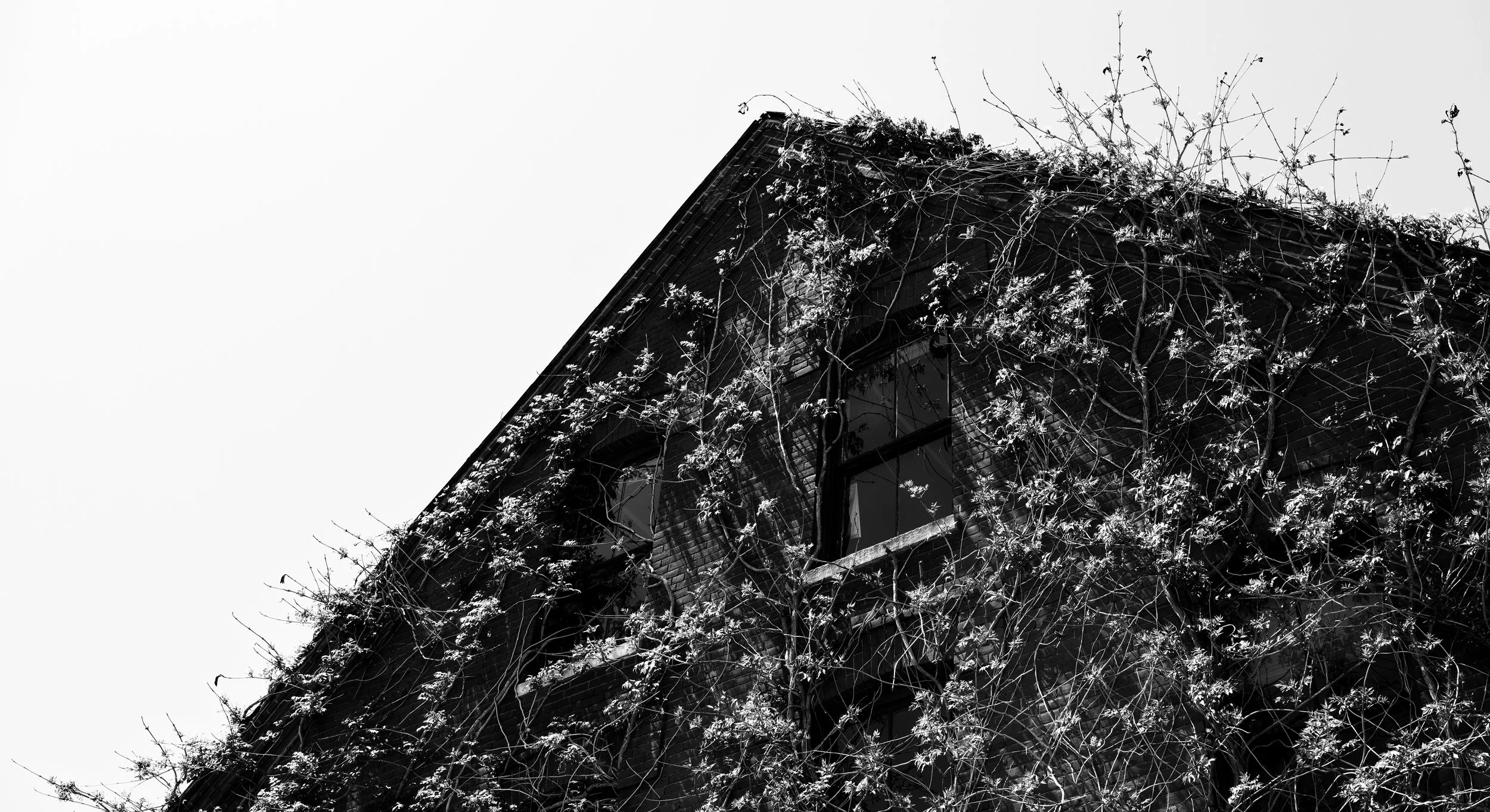 DSC07410_1_DxO.jpg