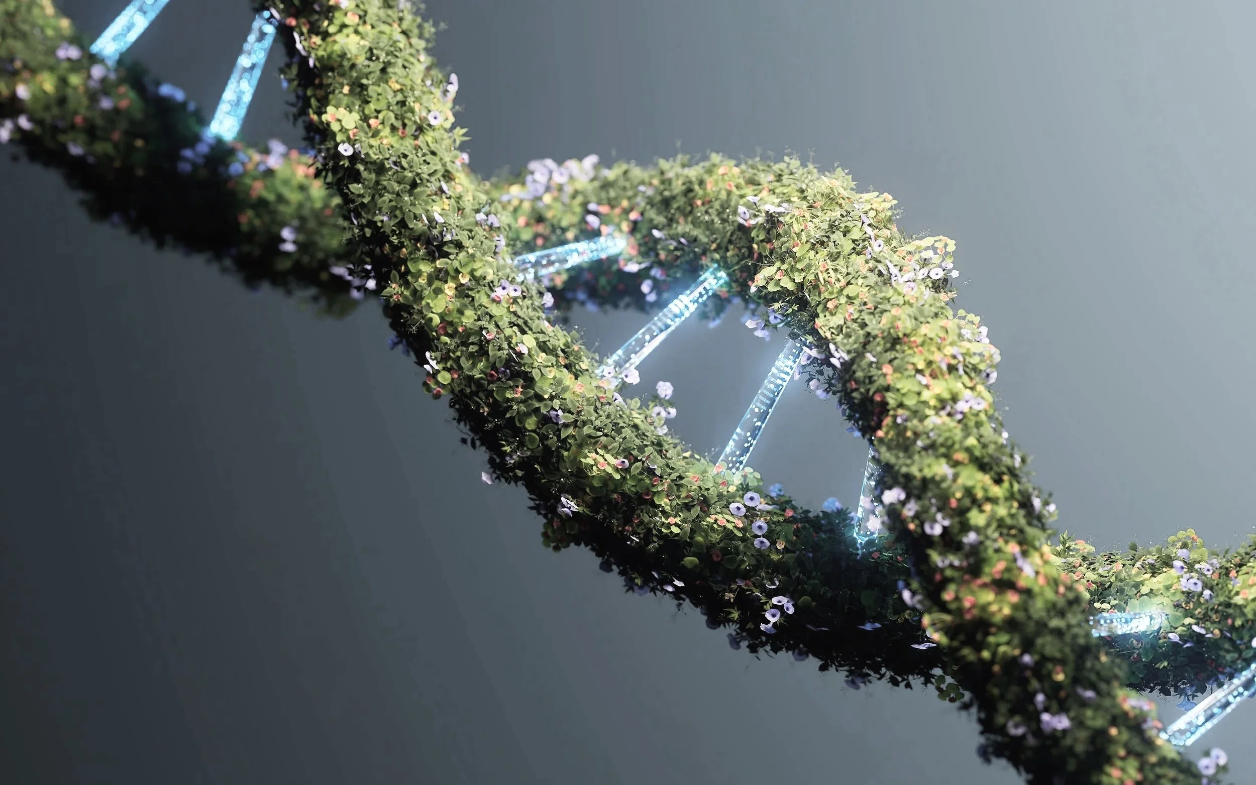 Susanne Westermann, Gesundheitsprävention, Longevity, Kuppenheim, Ernährung, Resillienz, Soziales Umfeld, DNA, Mitochondrien,