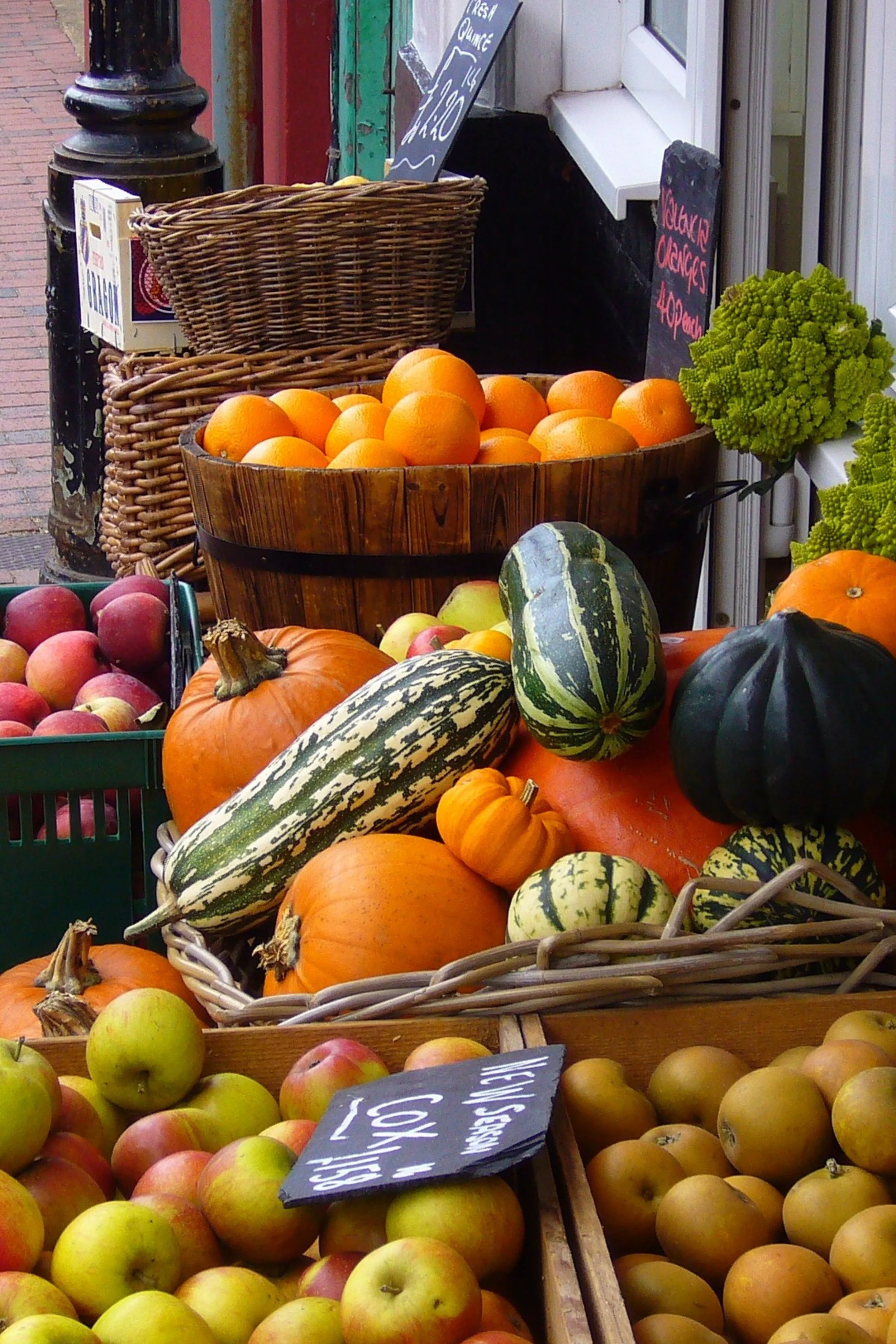 Ernährung, Biologisch, Susanne Westermann, Beratung, Longevity, Gesundheitspävention