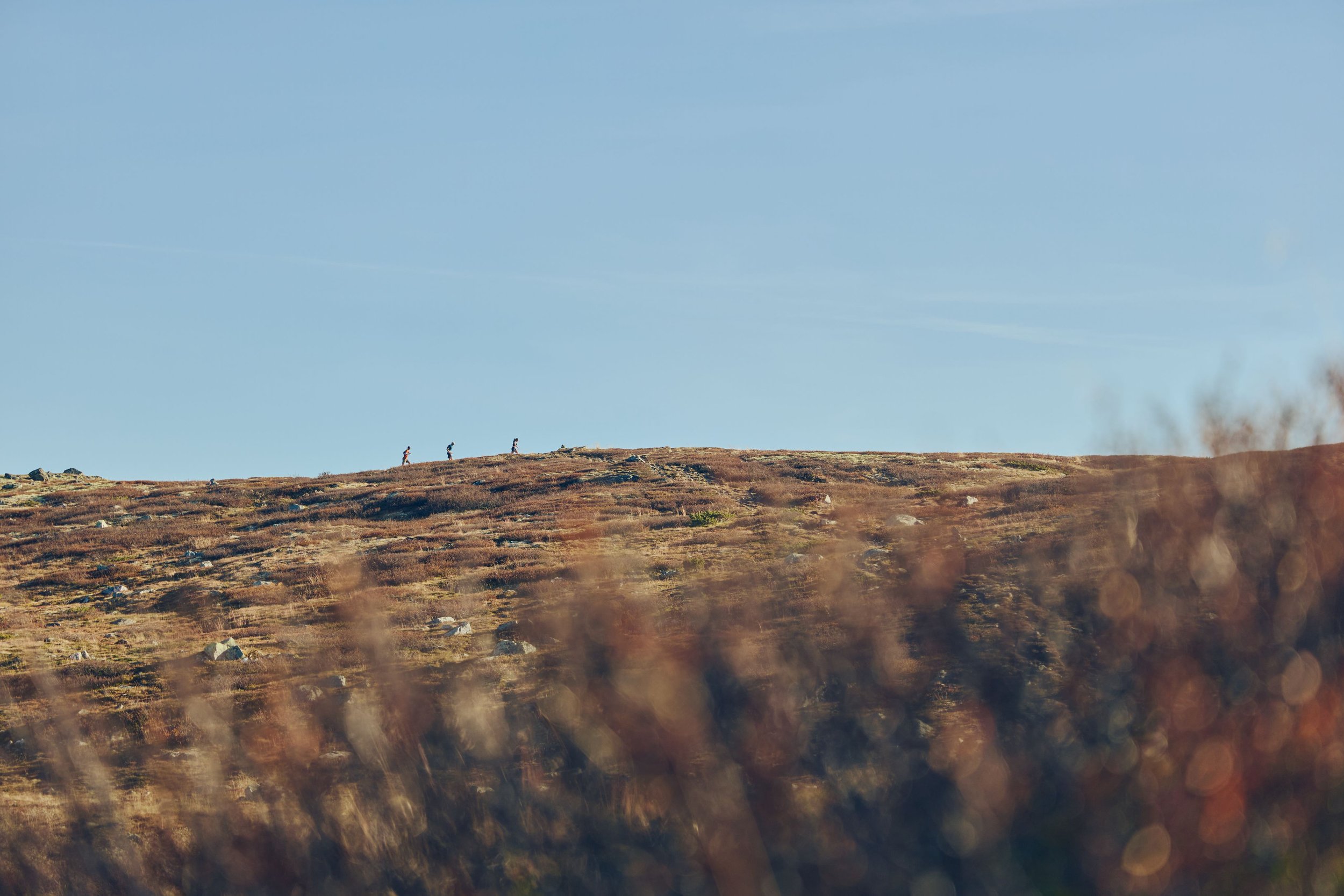 Three hikers walking along a grassy hilltop under a clear blue sky.