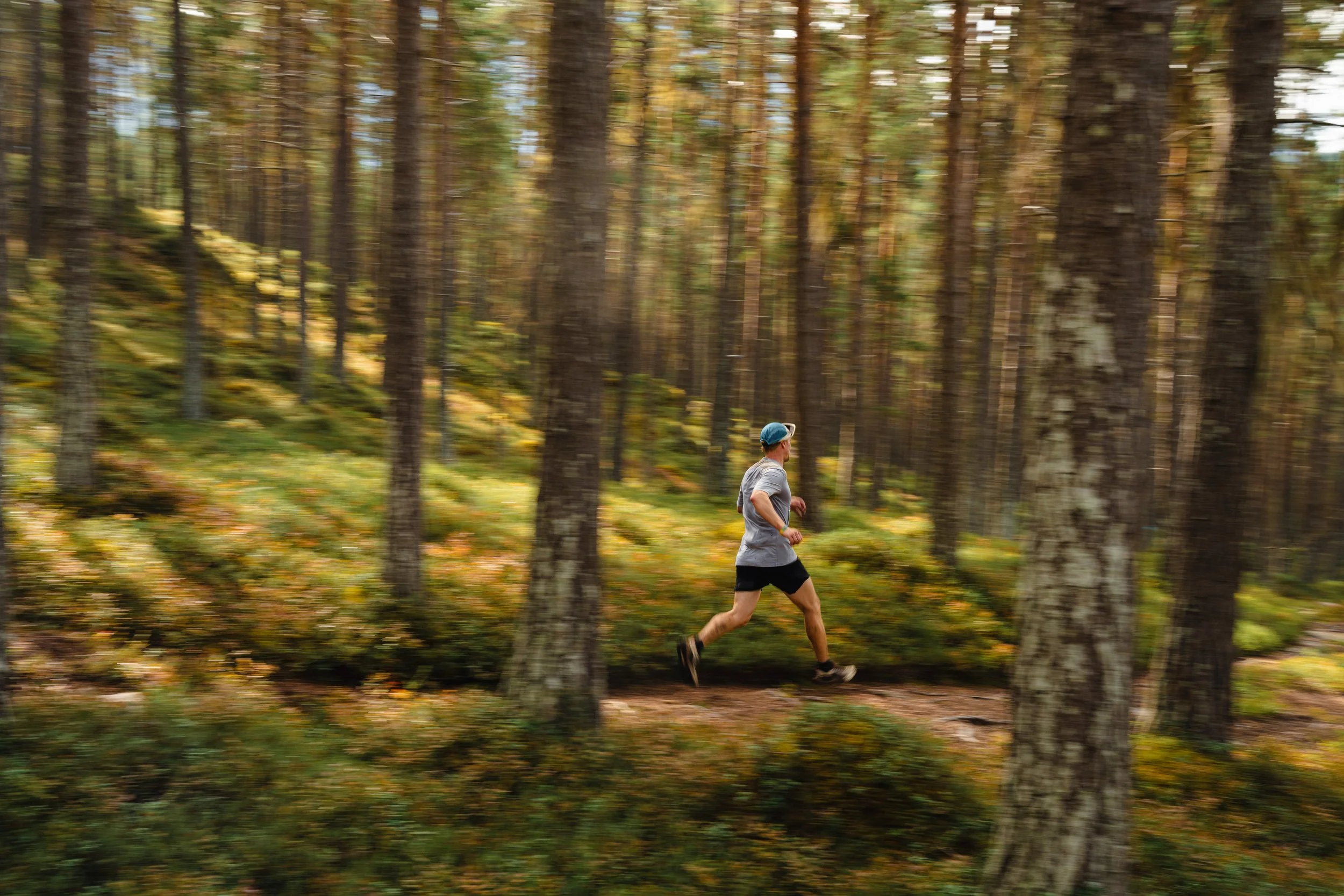 A man running through a dense forest with tall trees and green foliage.
