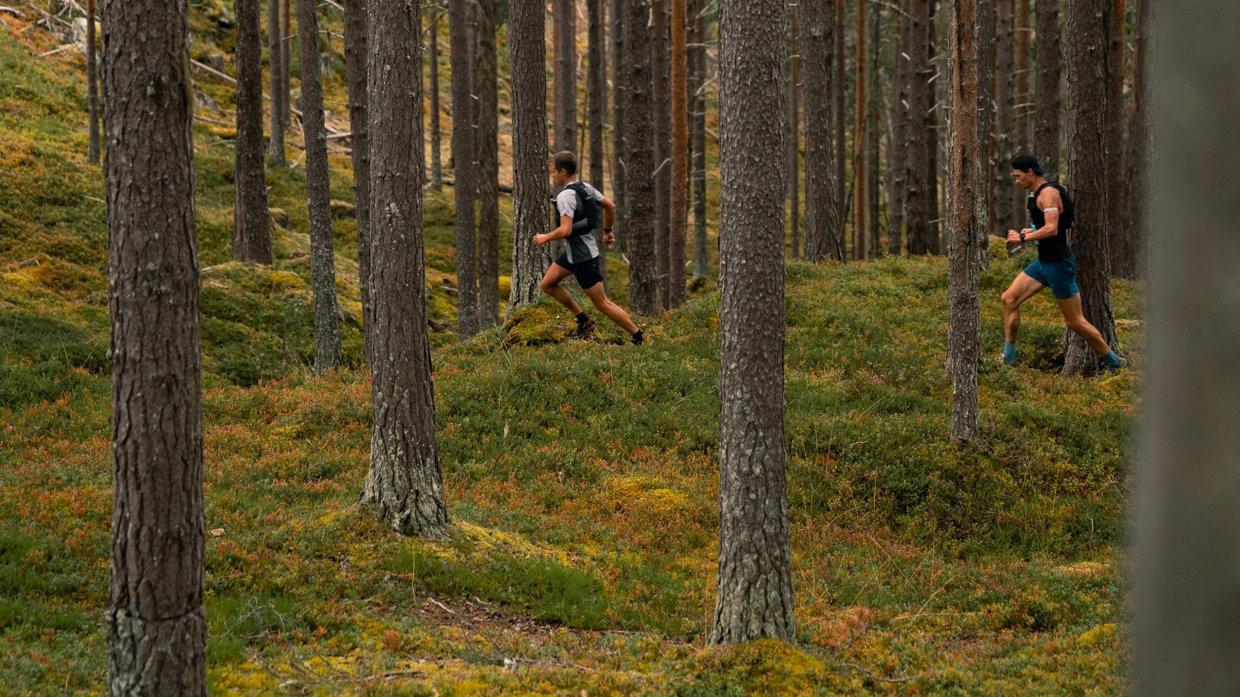 Two men trail running through a forest with tall trees and green moss on the ground.