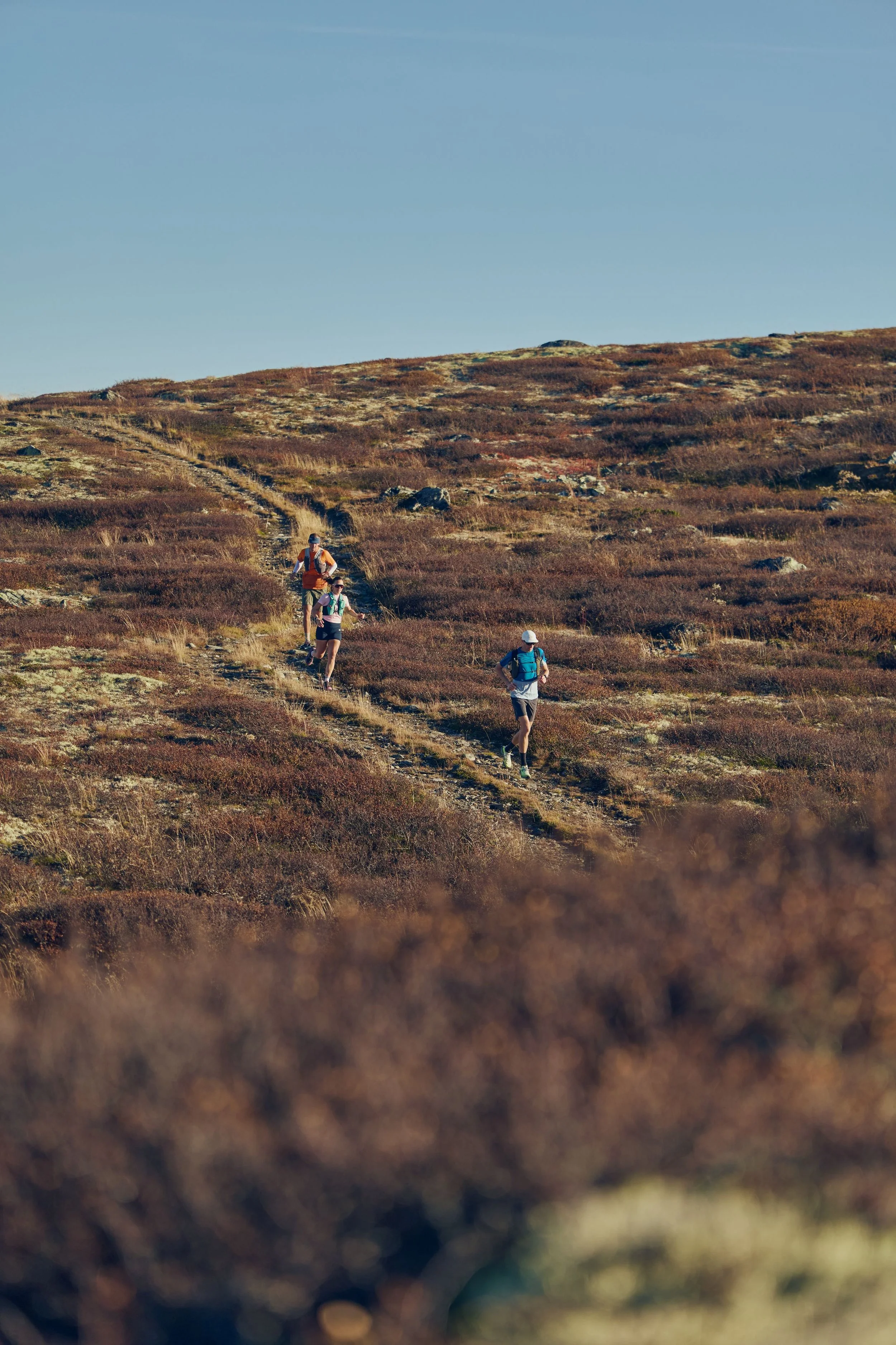 Three hikers walking along a narrow dirt trail through a hilly, arid landscape with sparse vegetation under a clear blue sky.