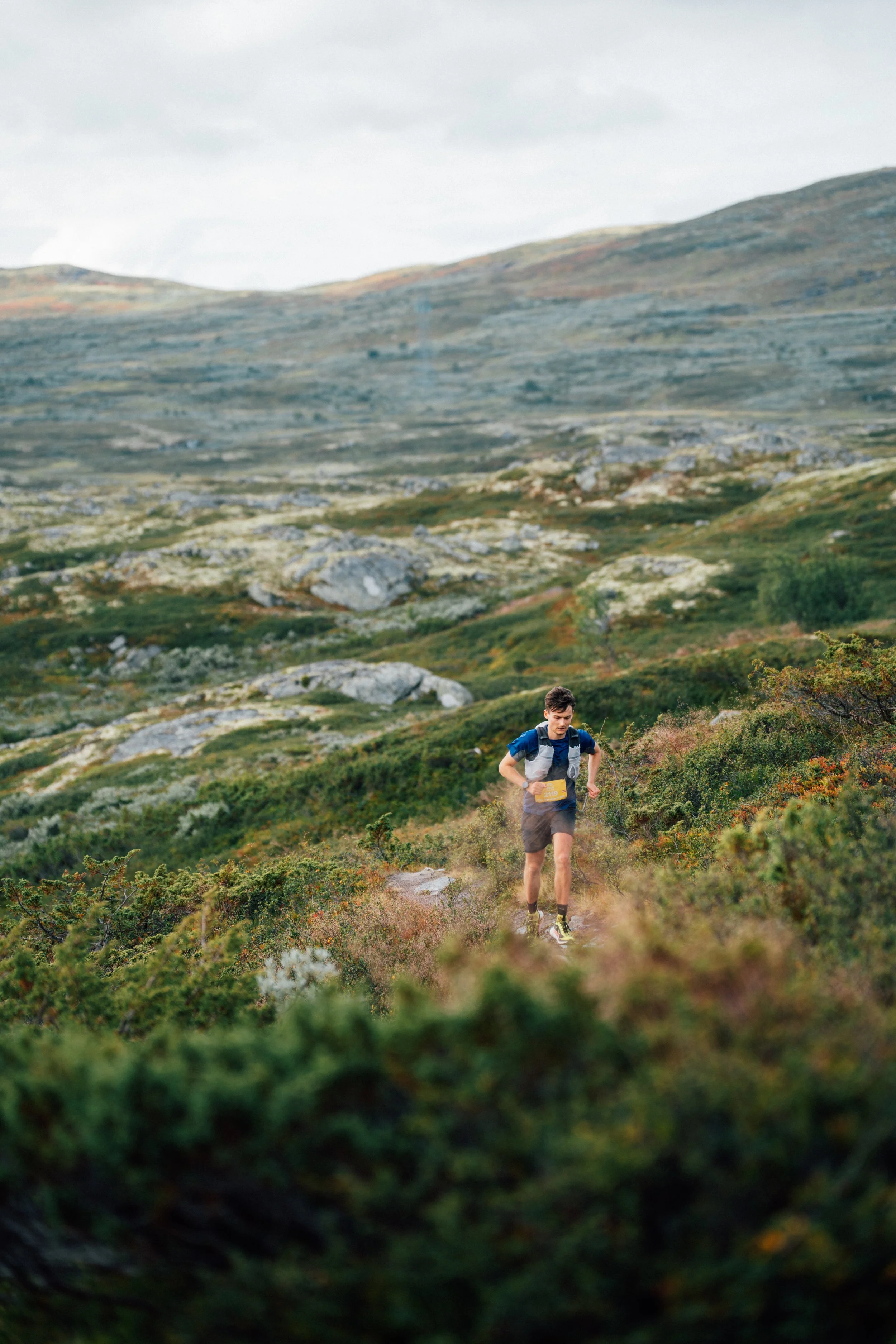 Geilo Trail Run. Photo Mads Mehus / Norway Trail Series.