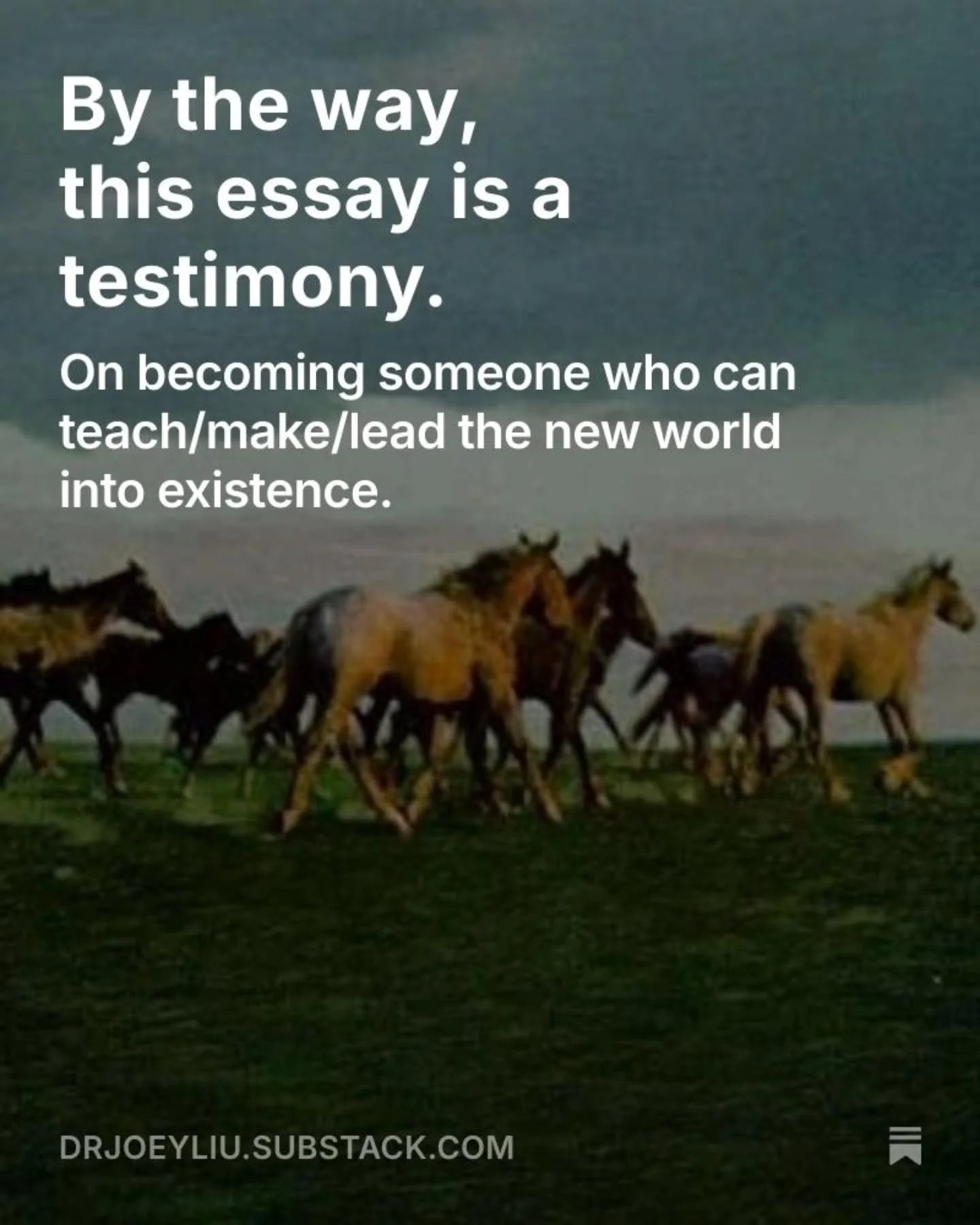 Full essay on Substack. Link in bio.