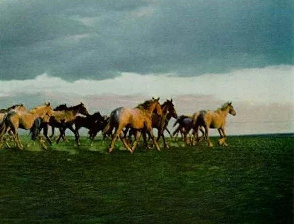 By the way, this essay is a testimony.