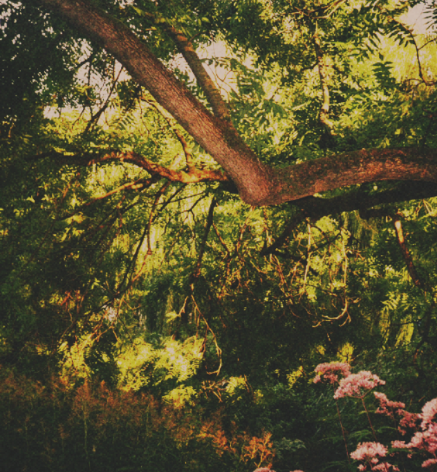 5 best practices for making your spaces your students’ most important classroom