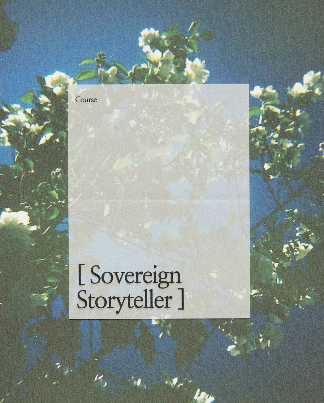Cover of a book titled 'Sovereign Storytellers' with a background of white flowers against a blue sky