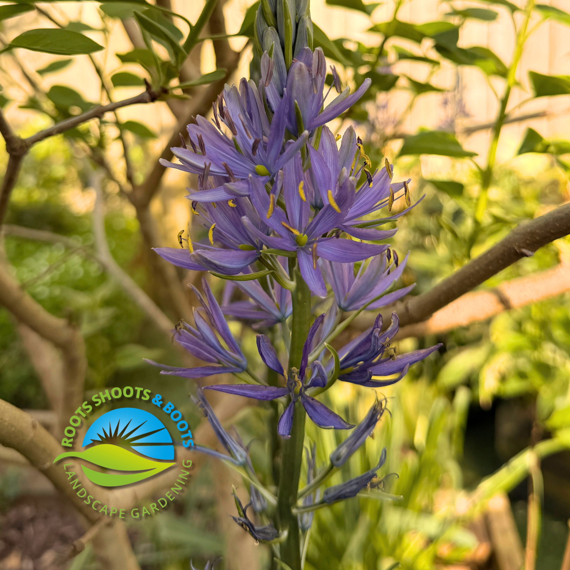 How to Start a Gardening Business in the UK (2026 Guide)