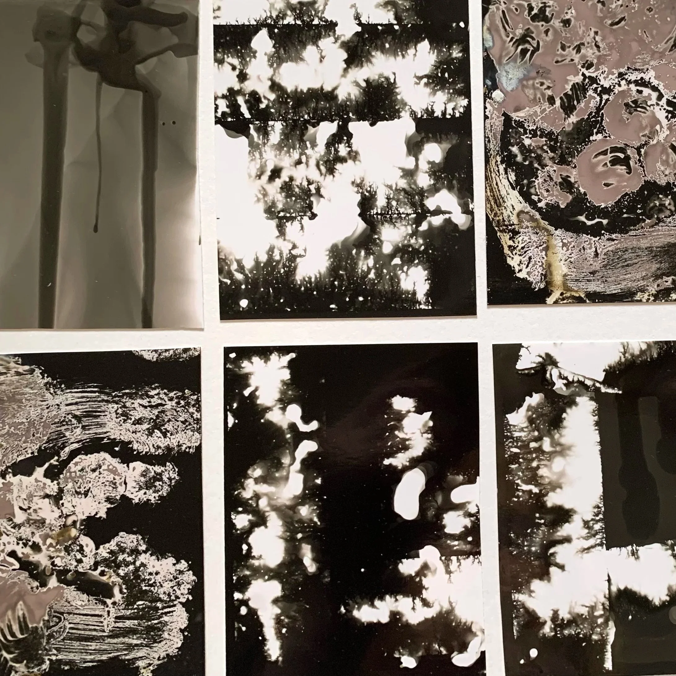 Chemigram Workshop - Saturday 6th June 2026 (PM)