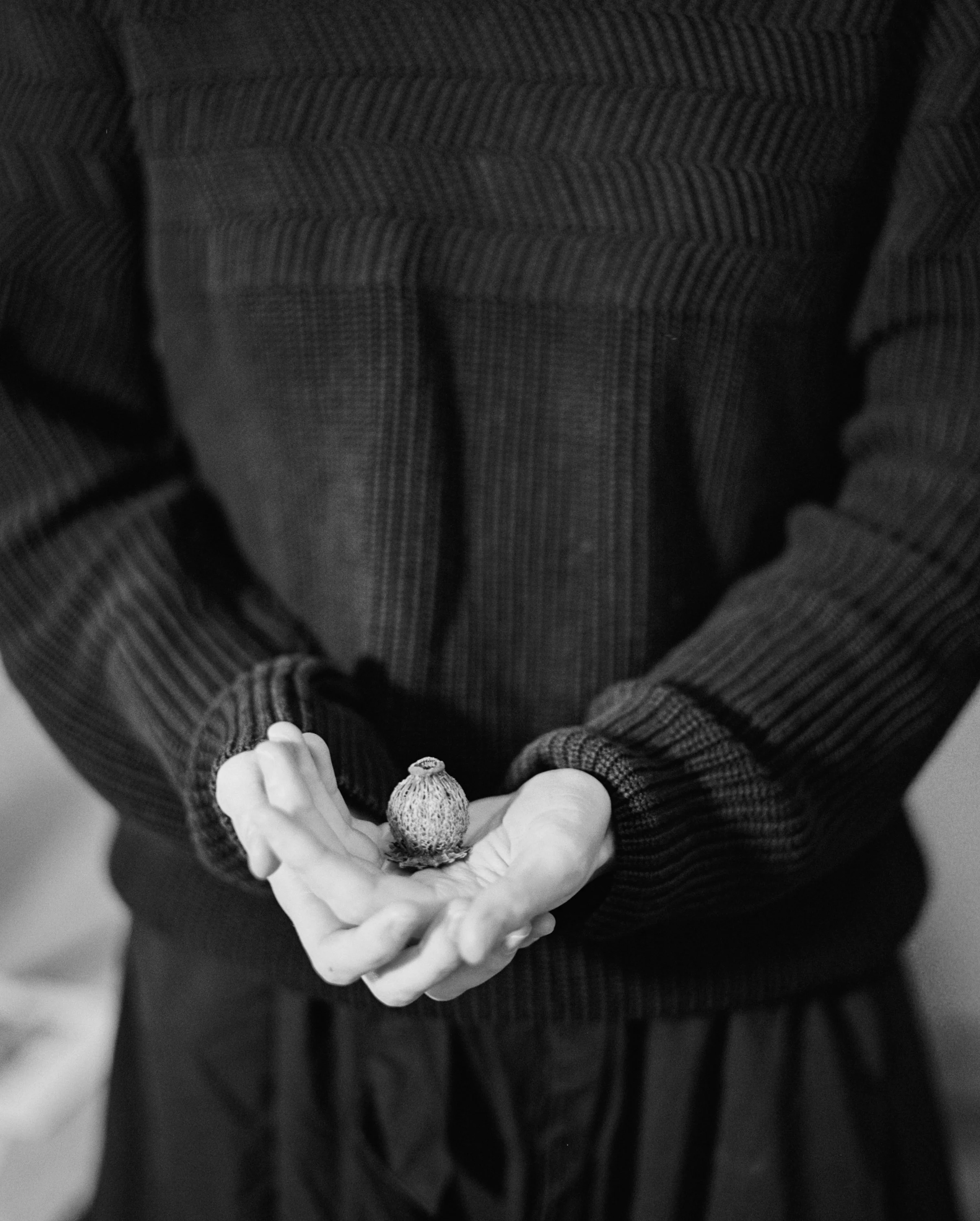 Person holding a small mushroom in their hand, wearing a dark striped sweater.