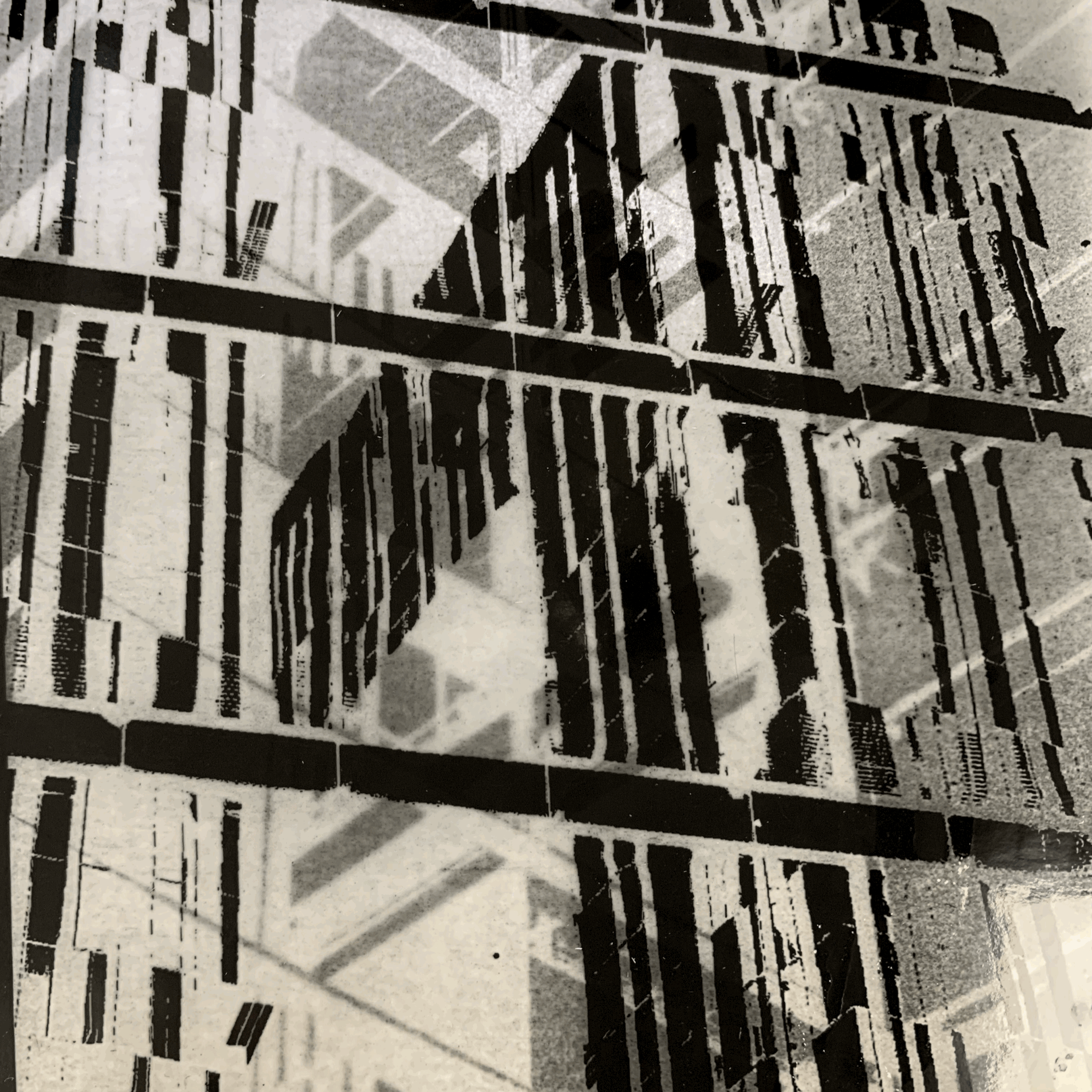 Photogram Workshop - Saturday 6th June 2026 (AM)