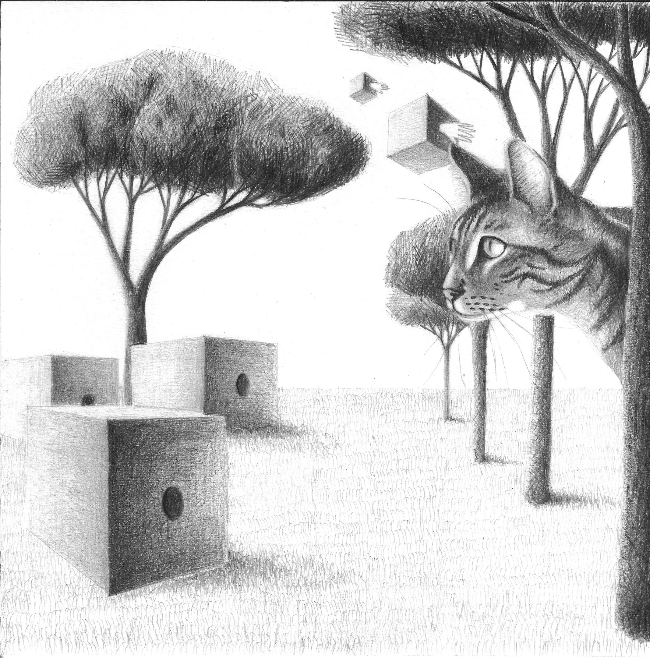 Disegno in bianco e nero di Beatrice Pucci di un paesaggio con alberi, cubi a terra e un grande gatto che si affaccia da dietro un albero.