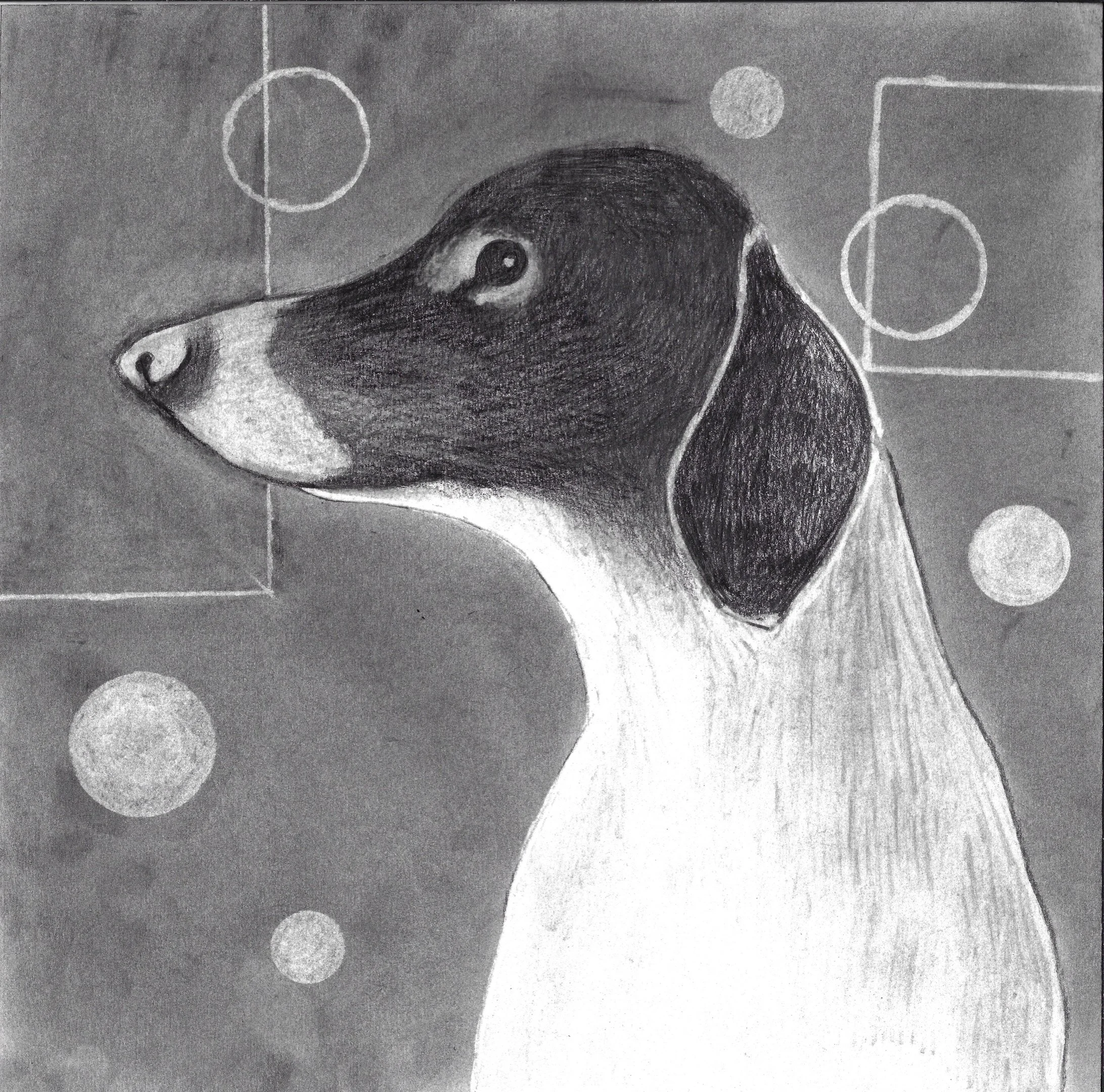 Disegno al tratto di Beatrice Pucci di un cane con il muso rivolto a sinistra, sfondo con motivi geometrici circolari e lineari.