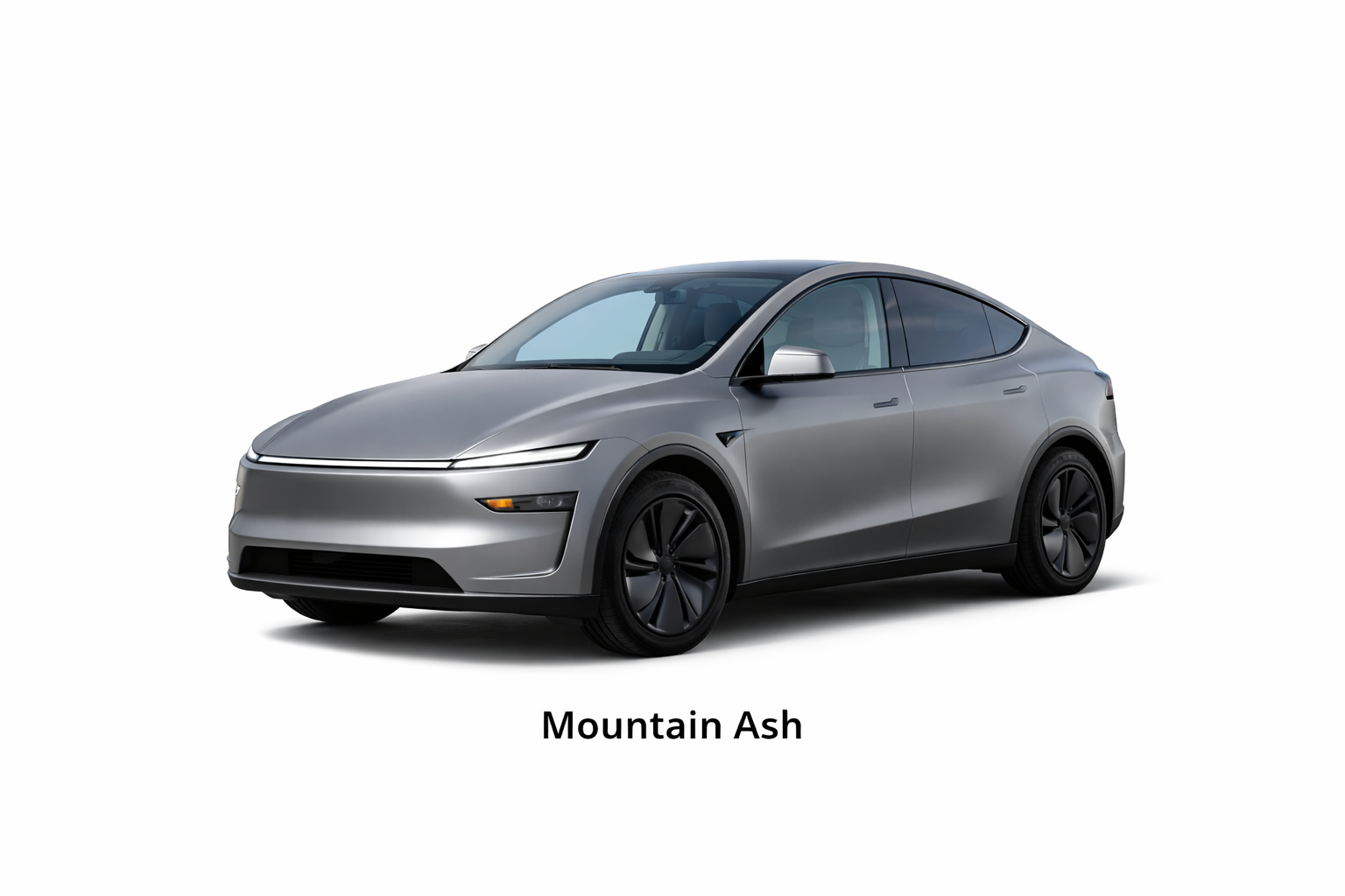 Mountain Ash.png