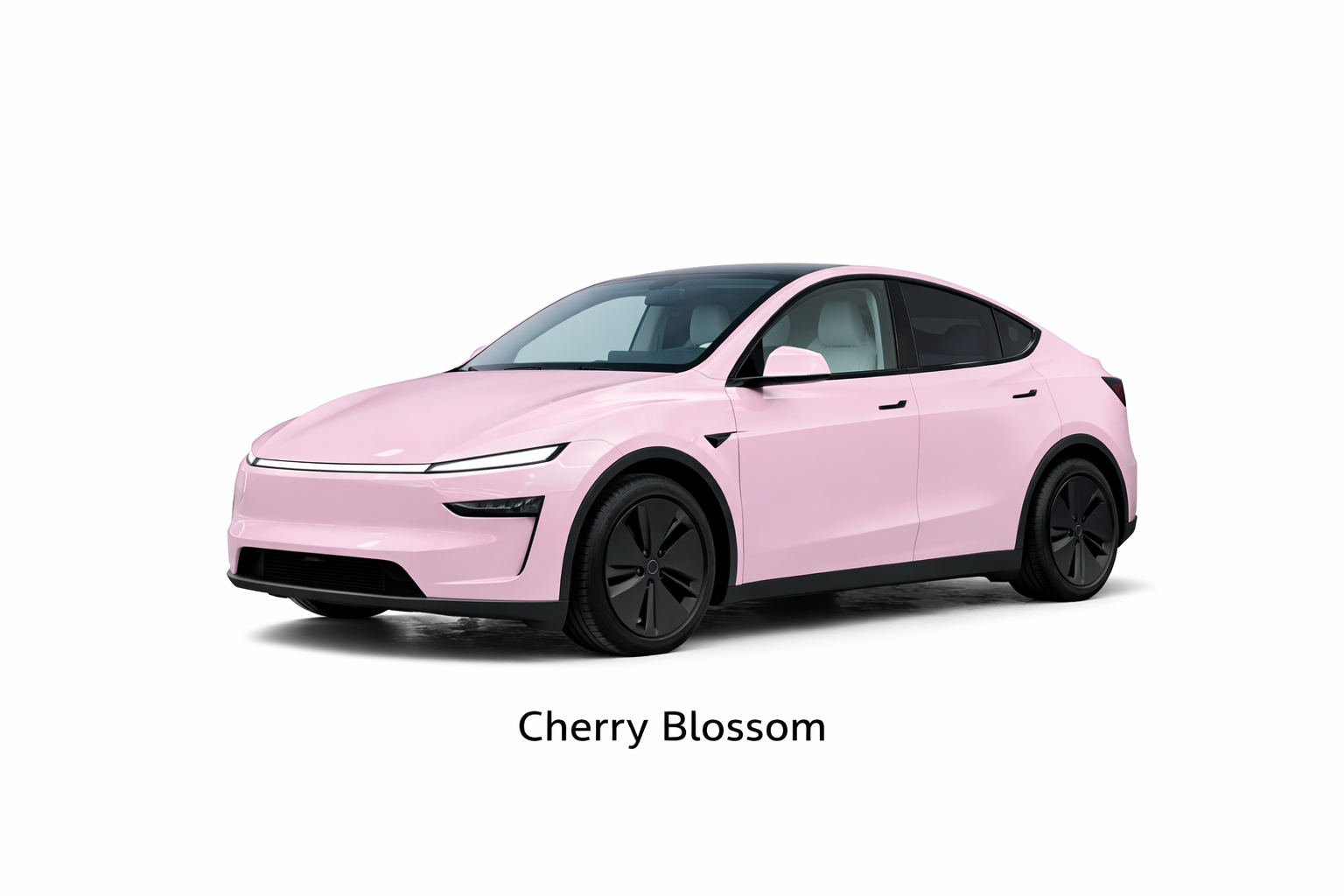 Cherry Blossom.png