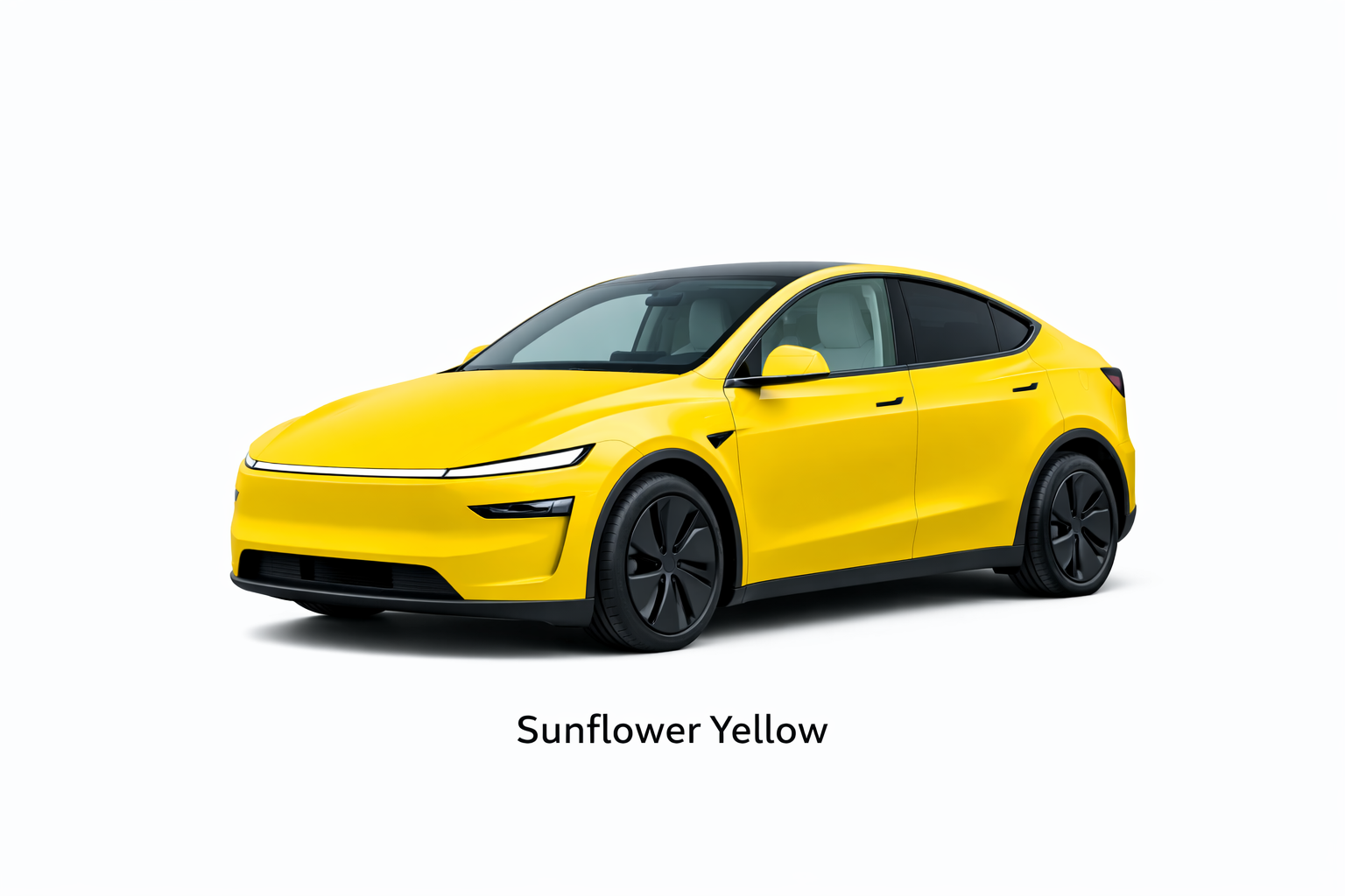 Sunflower Yellow.png