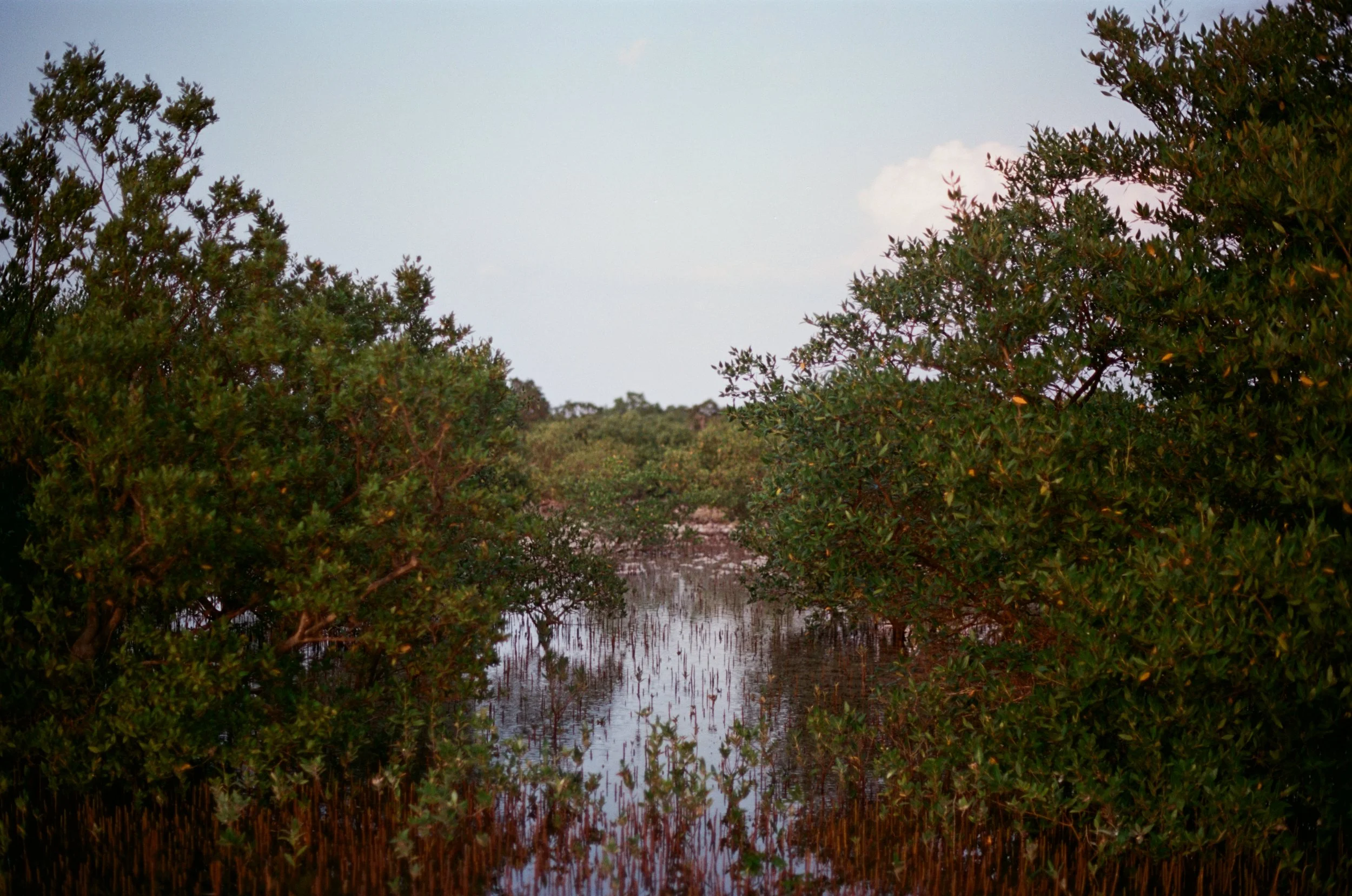 Tide and Terrain