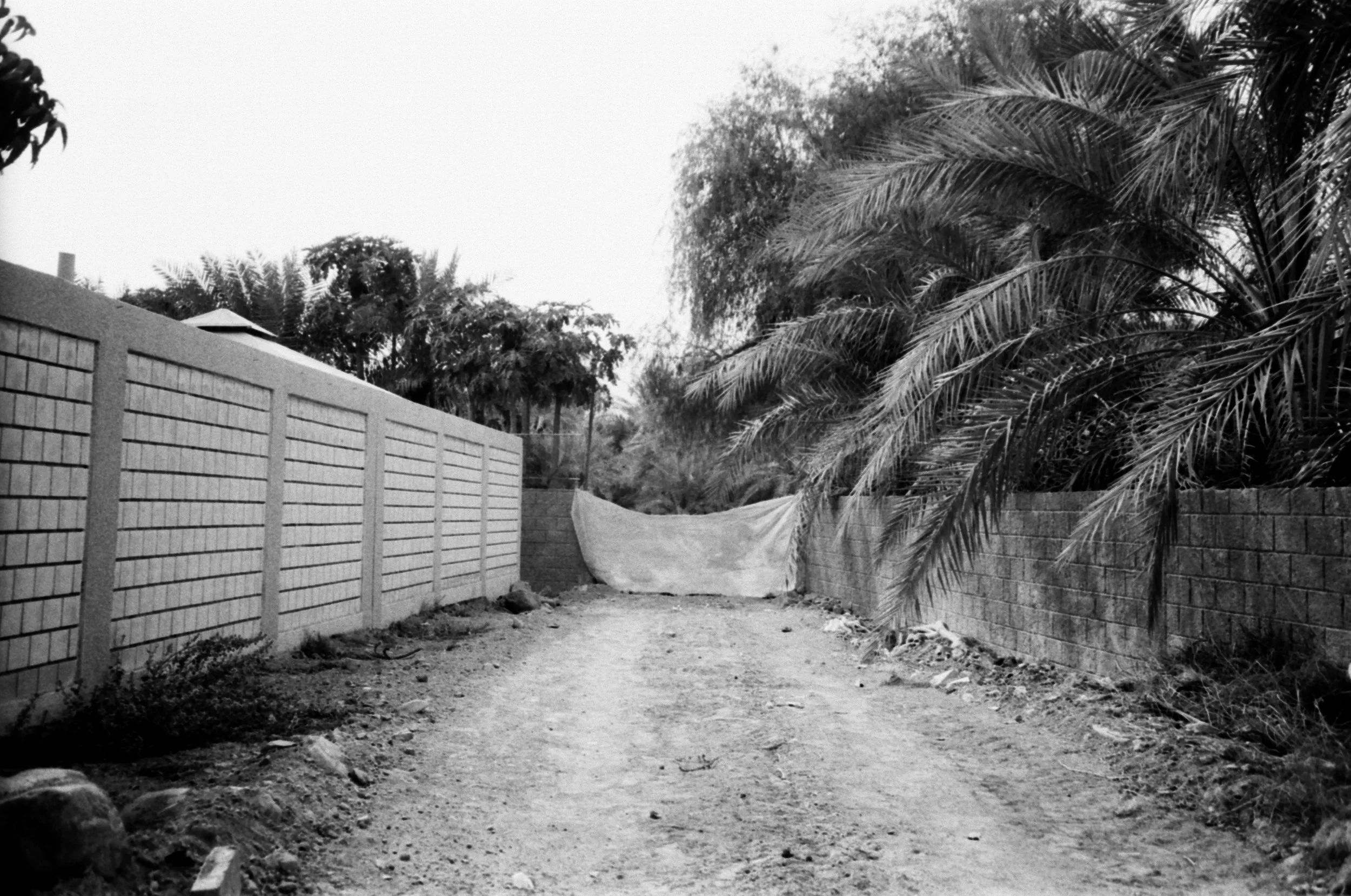 Meera Alsuwaidi - 8790 - Ilfod Delta 100 - 21.jpg