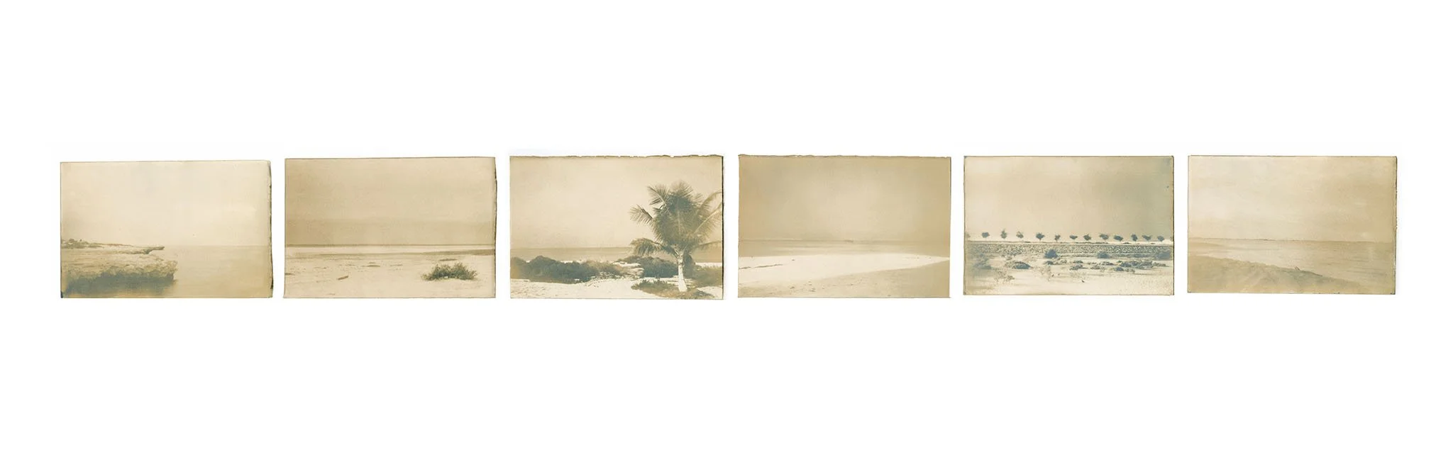 Elegy for The Horizon.jpg
