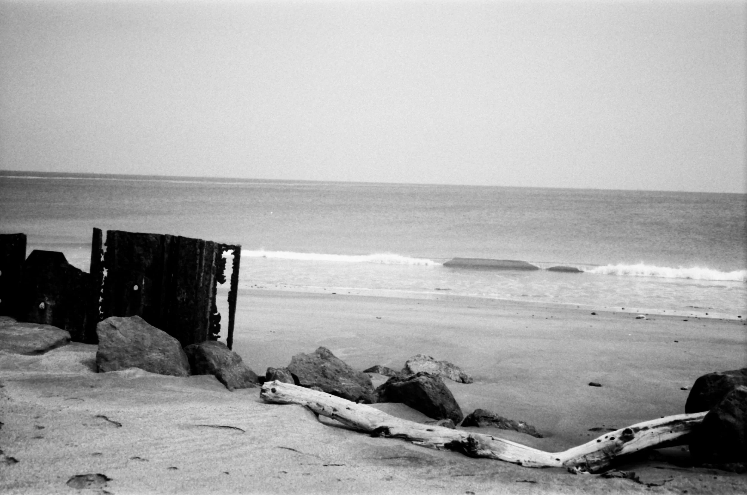 Meera Alsuwaidi - 8790 - Ilfod Delta 100 - 30.jpg