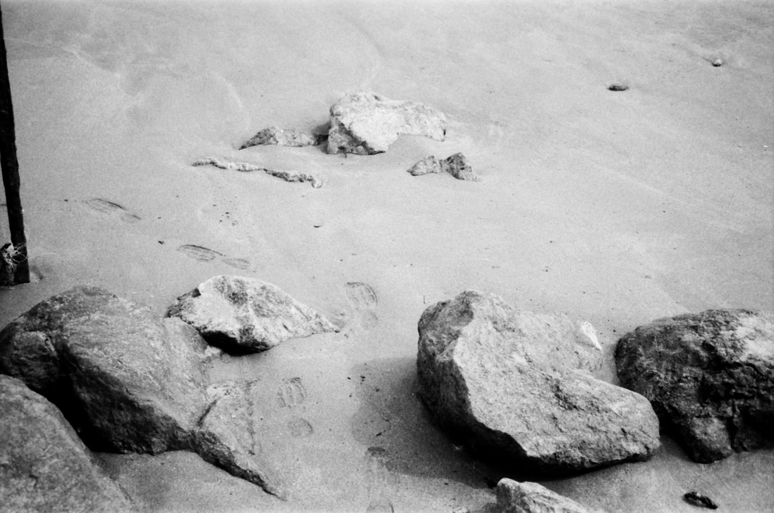 Meera Alsuwaidi - 8790 - Ilfod Delta 100 - 28.jpg