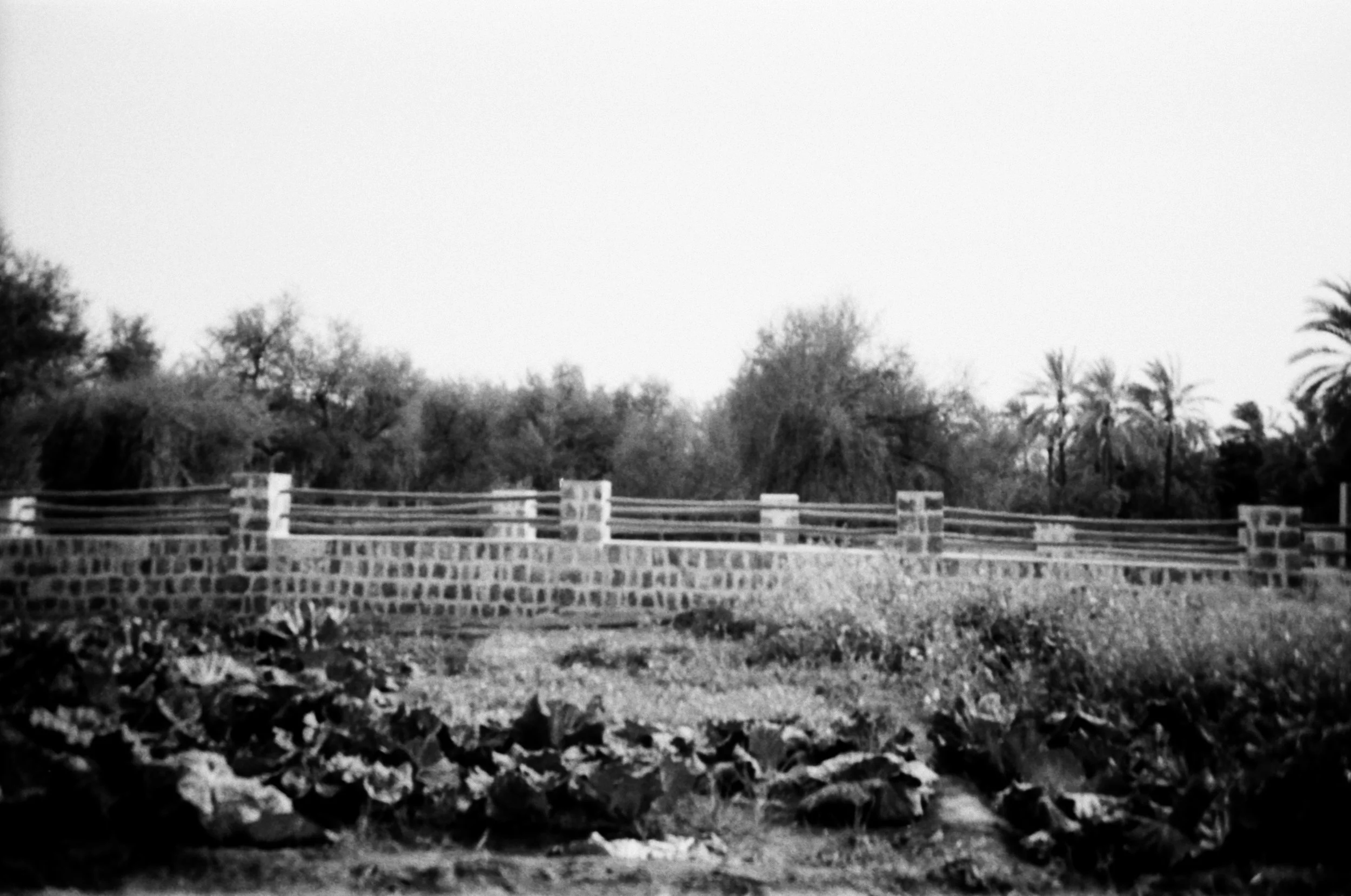 Meera Alsuwaidi - 8790 - Ilfod Delta 100 - 07.jpg