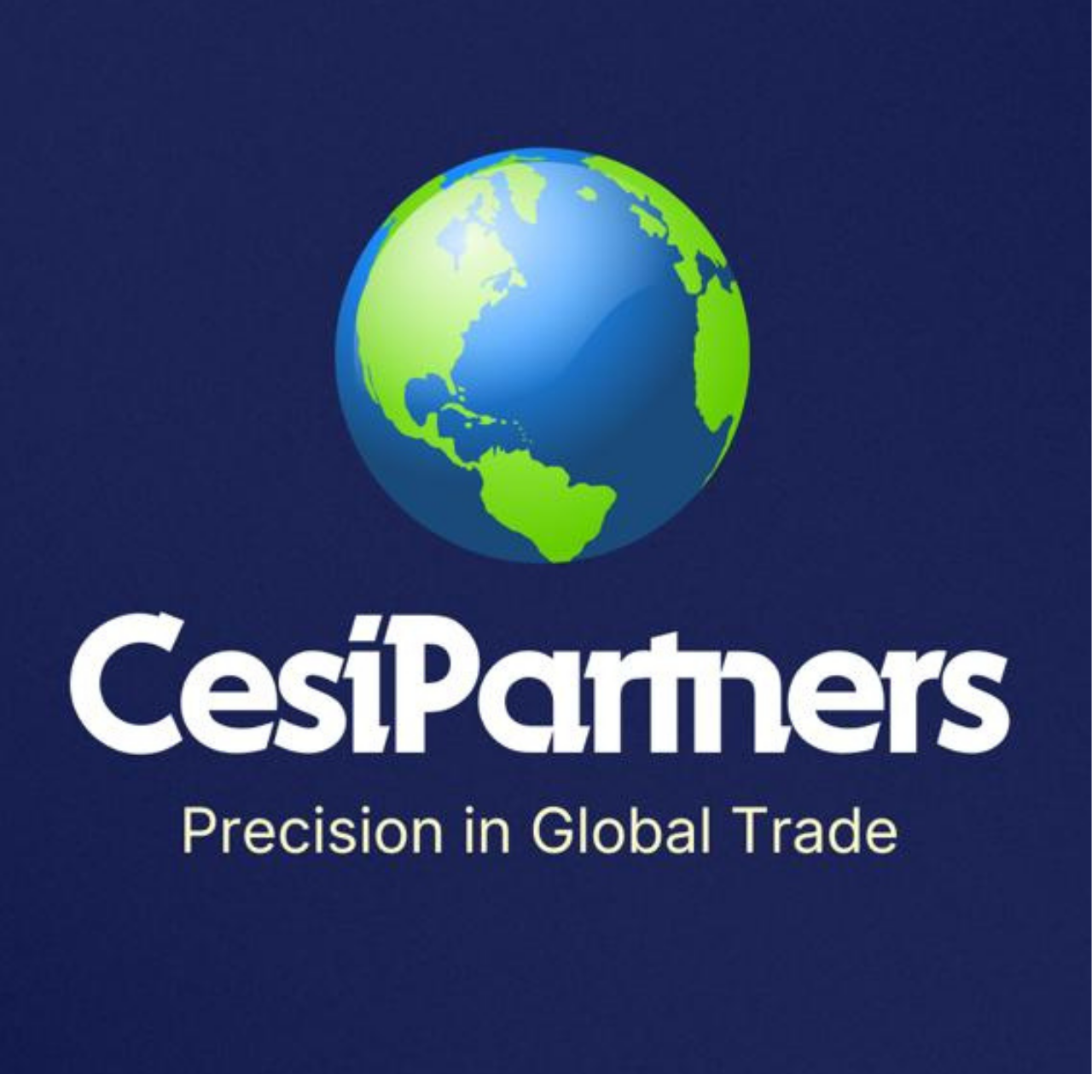 www.cesipartners.com