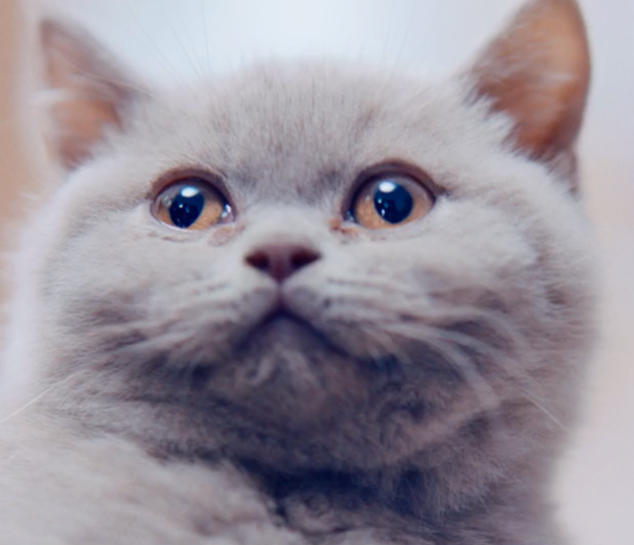 Screenshot 2026-02-23 at 16.16.29.png