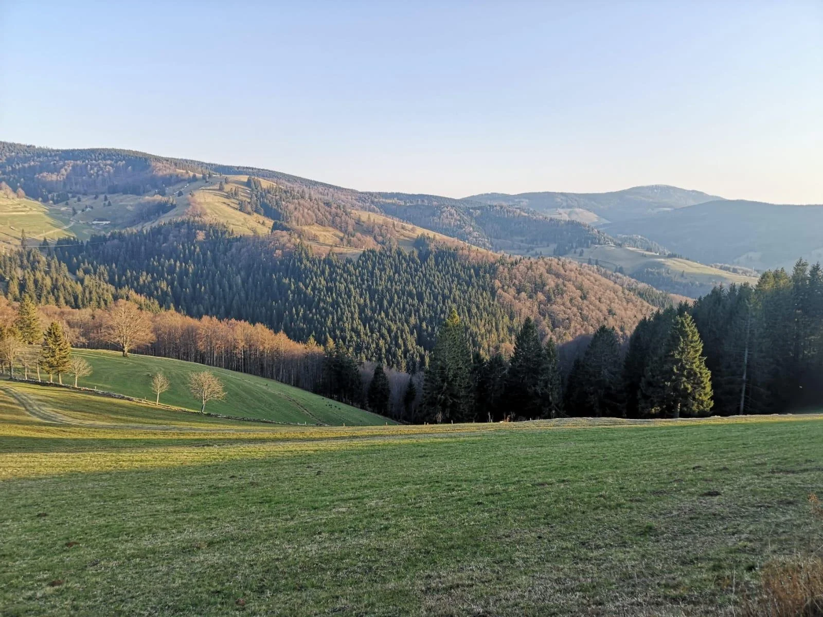 Landschaft mit Hügeln, Wäldern und offenem Feld bei Sonnenuntergang.