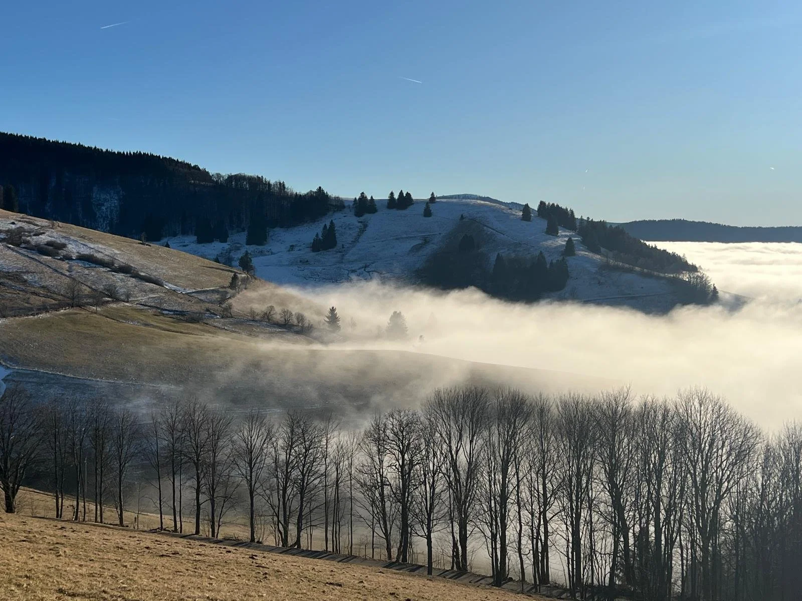 Berglandschaft mit verschneiten Hügeln, Bergen und einer Baumreihe im Vordergrund, Nebel in den Tälern, blauer Himmel mit einigen Wolken und Flugzeugen. 