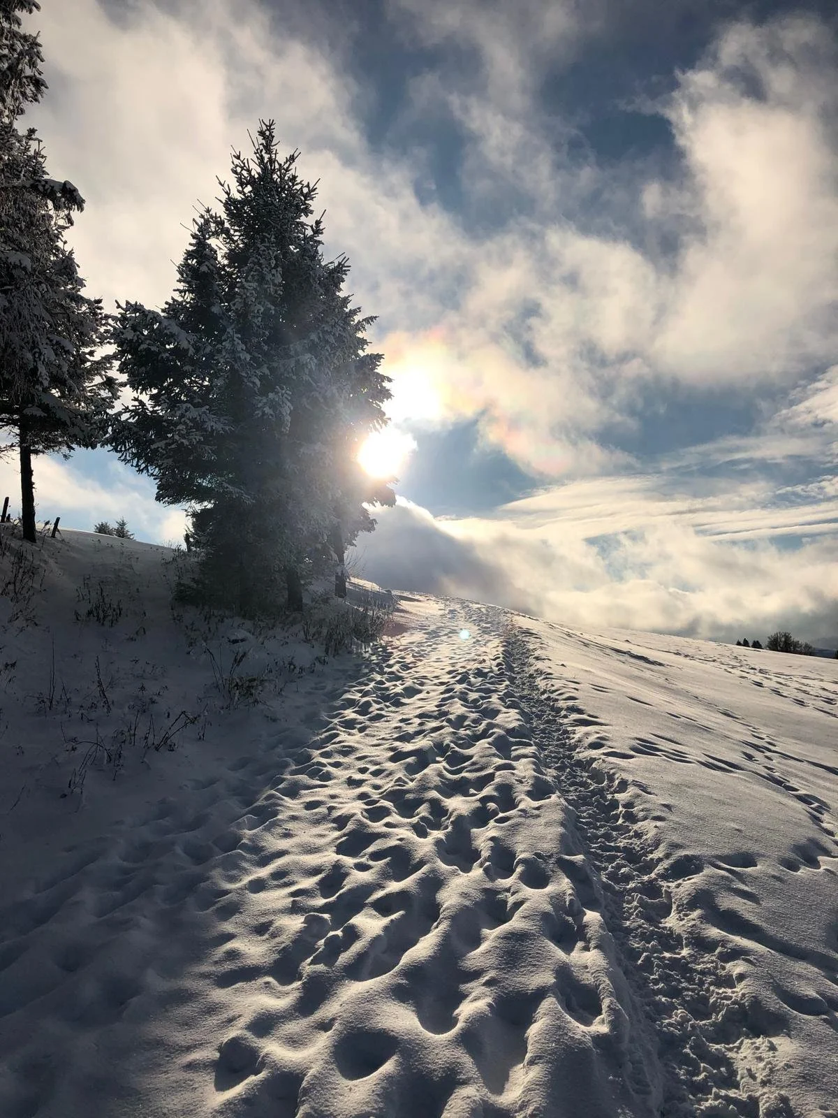 Schneebedeckter Hügel mit Fußspuren und Tannenbaum vor sonnigem Himmel.