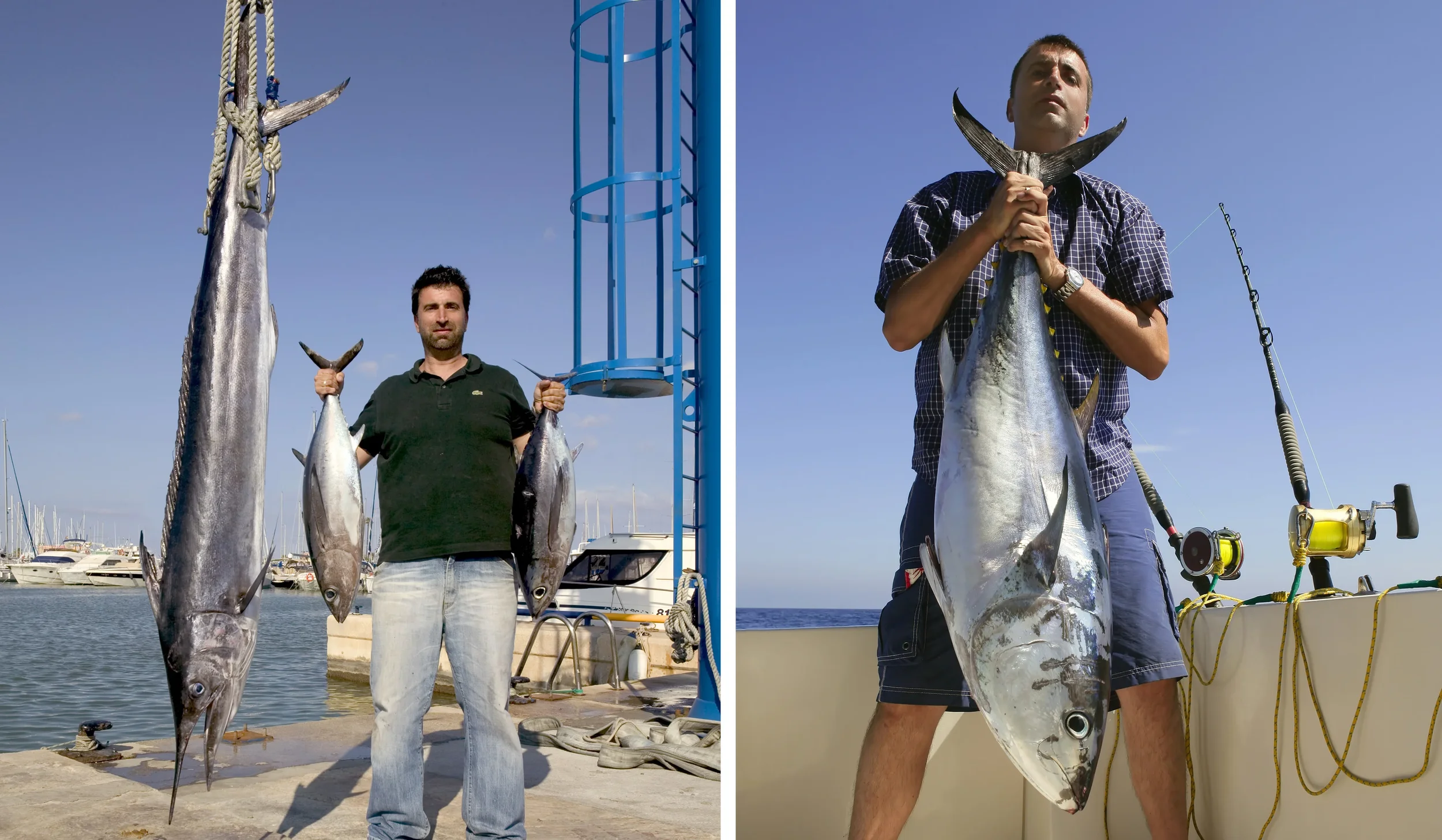 Captain Tono with spearfish, Albacore and bluefin tuna in Denia