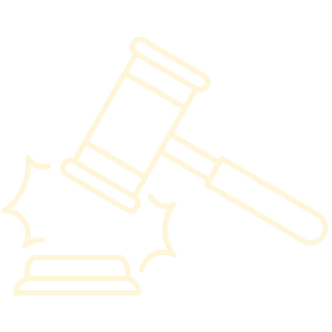 Icona Diritto penitenziario