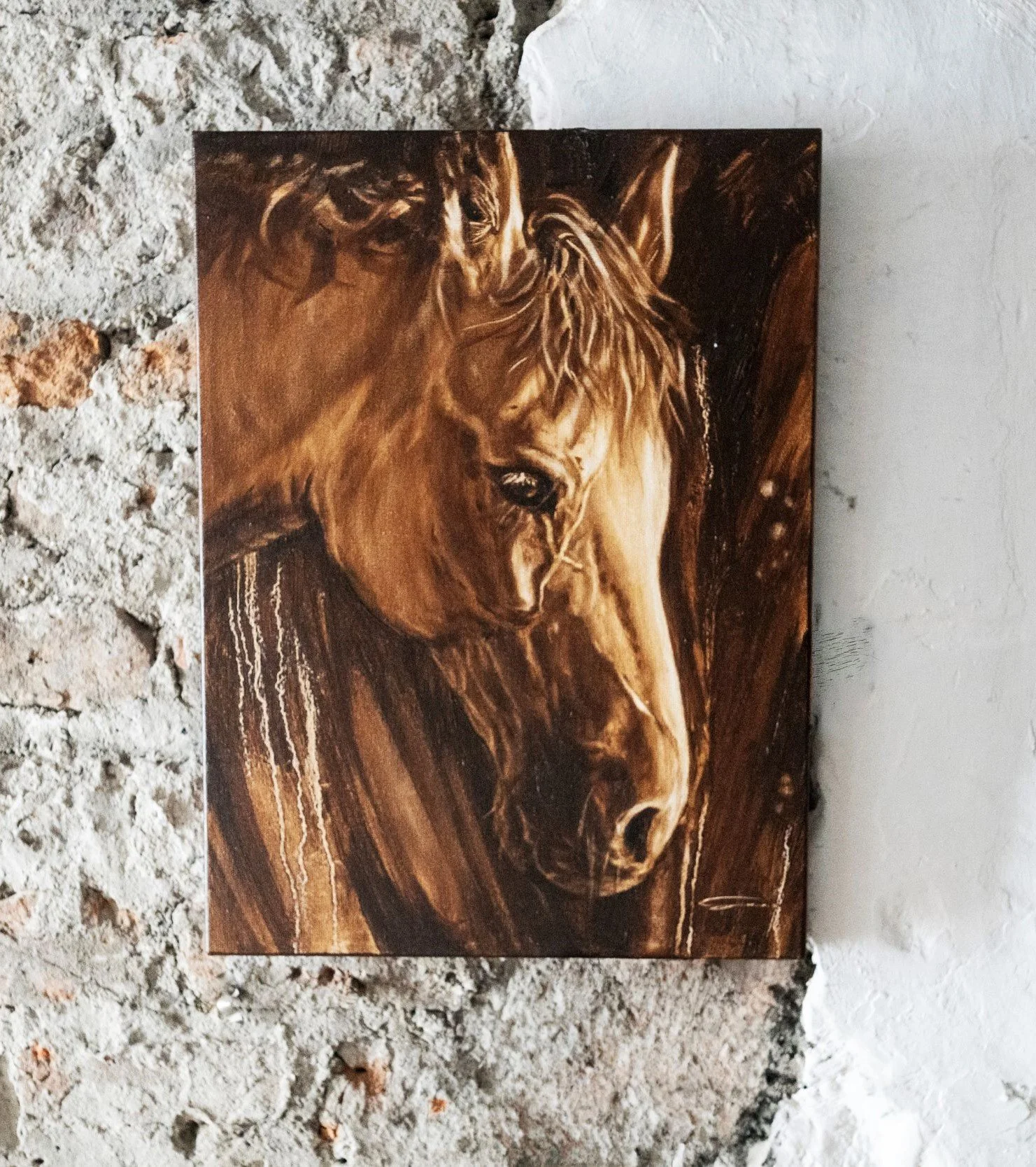 Horse Study 2 Wall resized.jpg