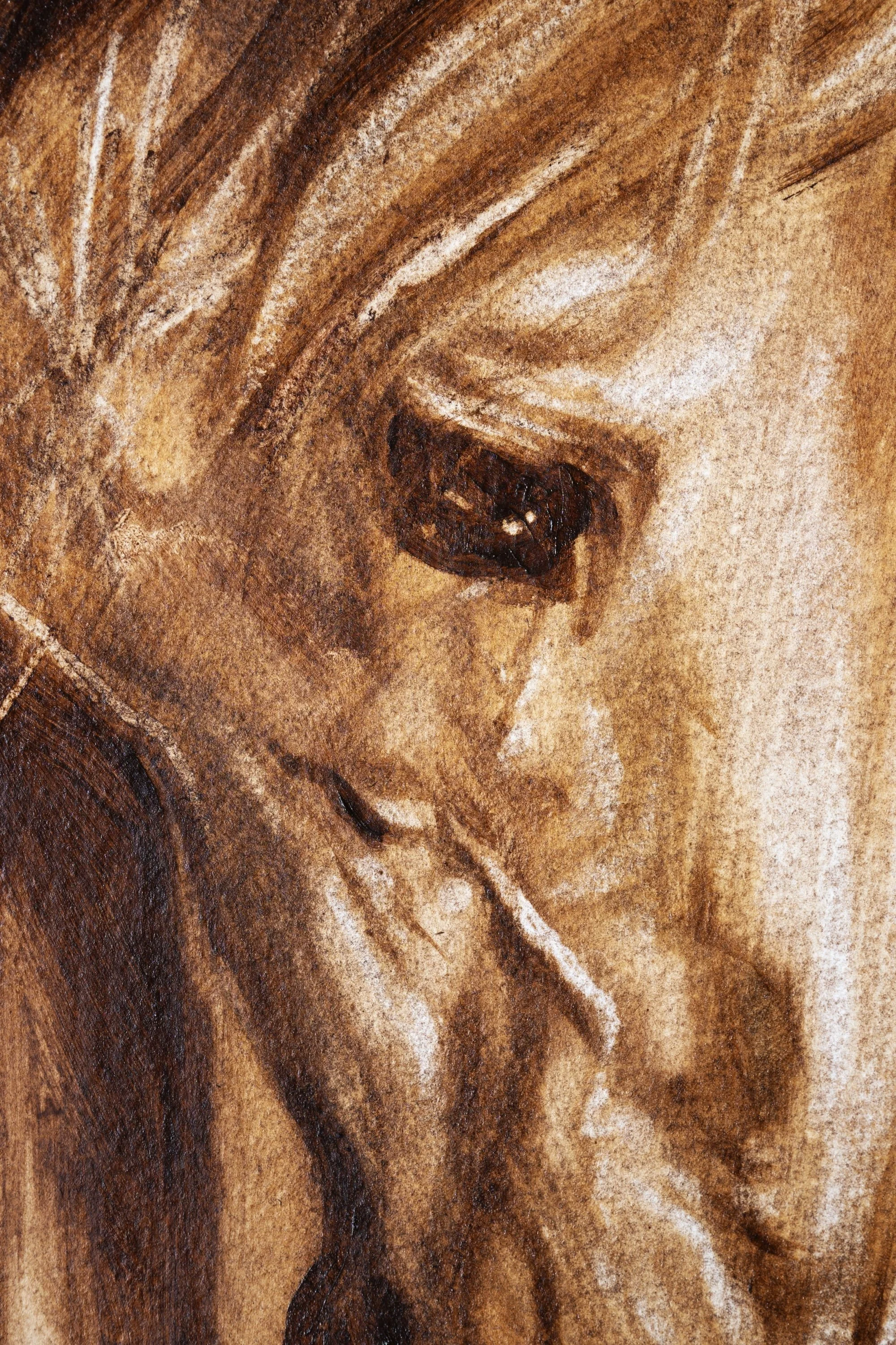 Horse 2 resized.jpg