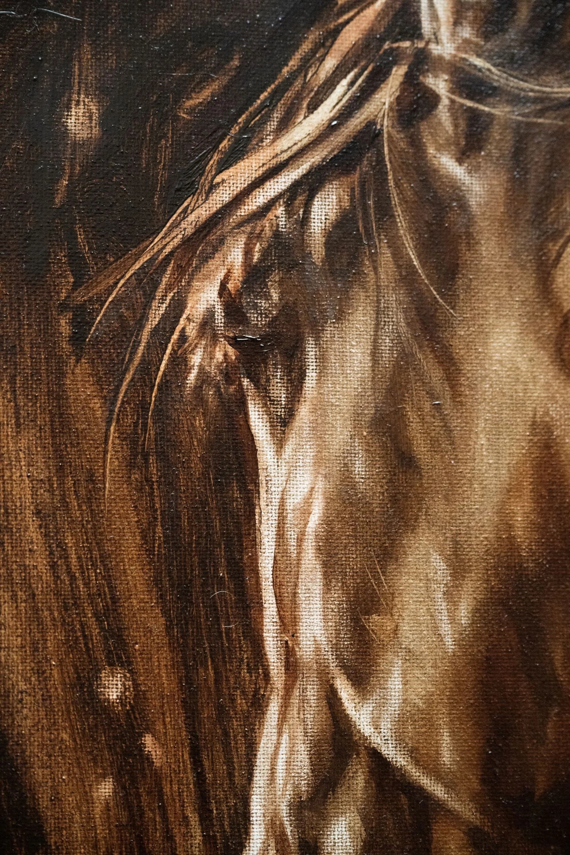 CaHorse Study 1 Detail resized.jpg