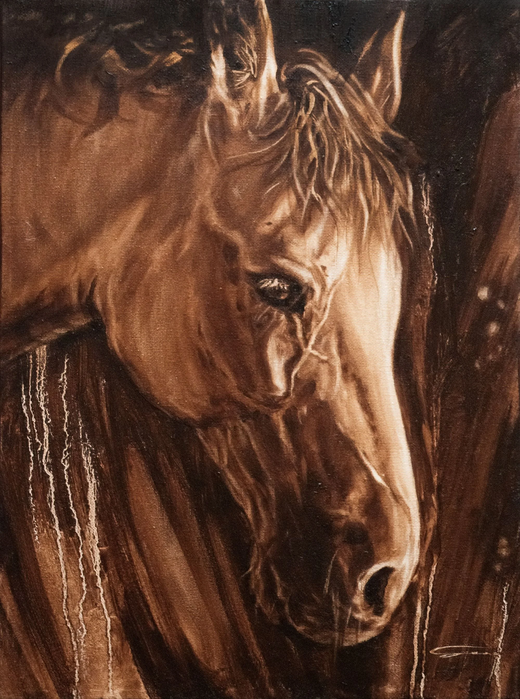 Horse Study 2 resized.jpg