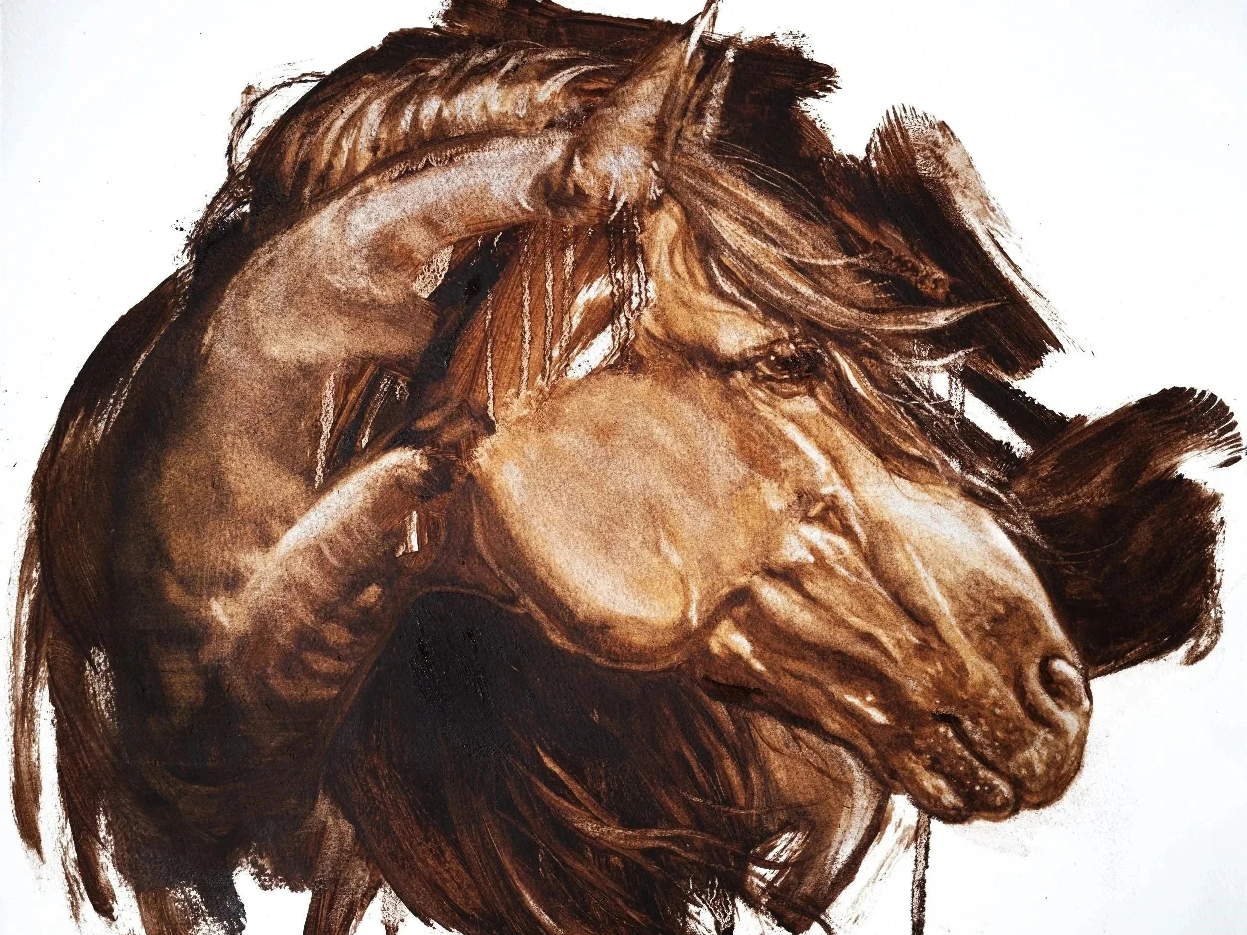 Horse%252BPortrait%252B3.jpg