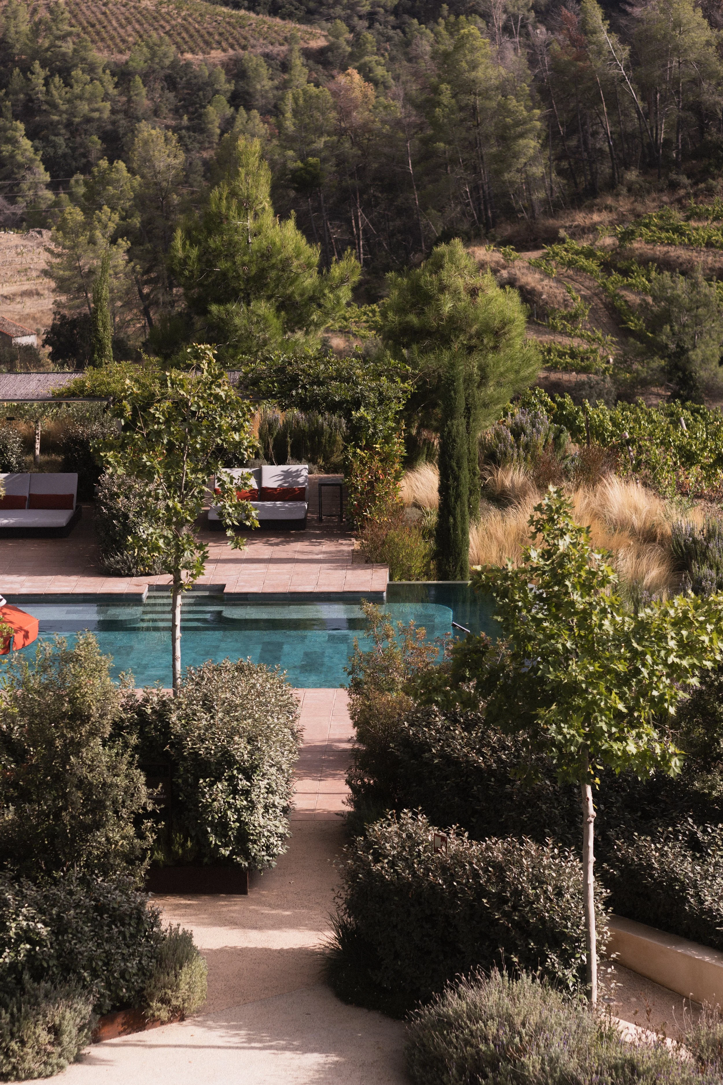 Luxury hotel backyard with swimming pool, professional landscaping, and scenic hillside view. Landscape photography for hotel and resort design.