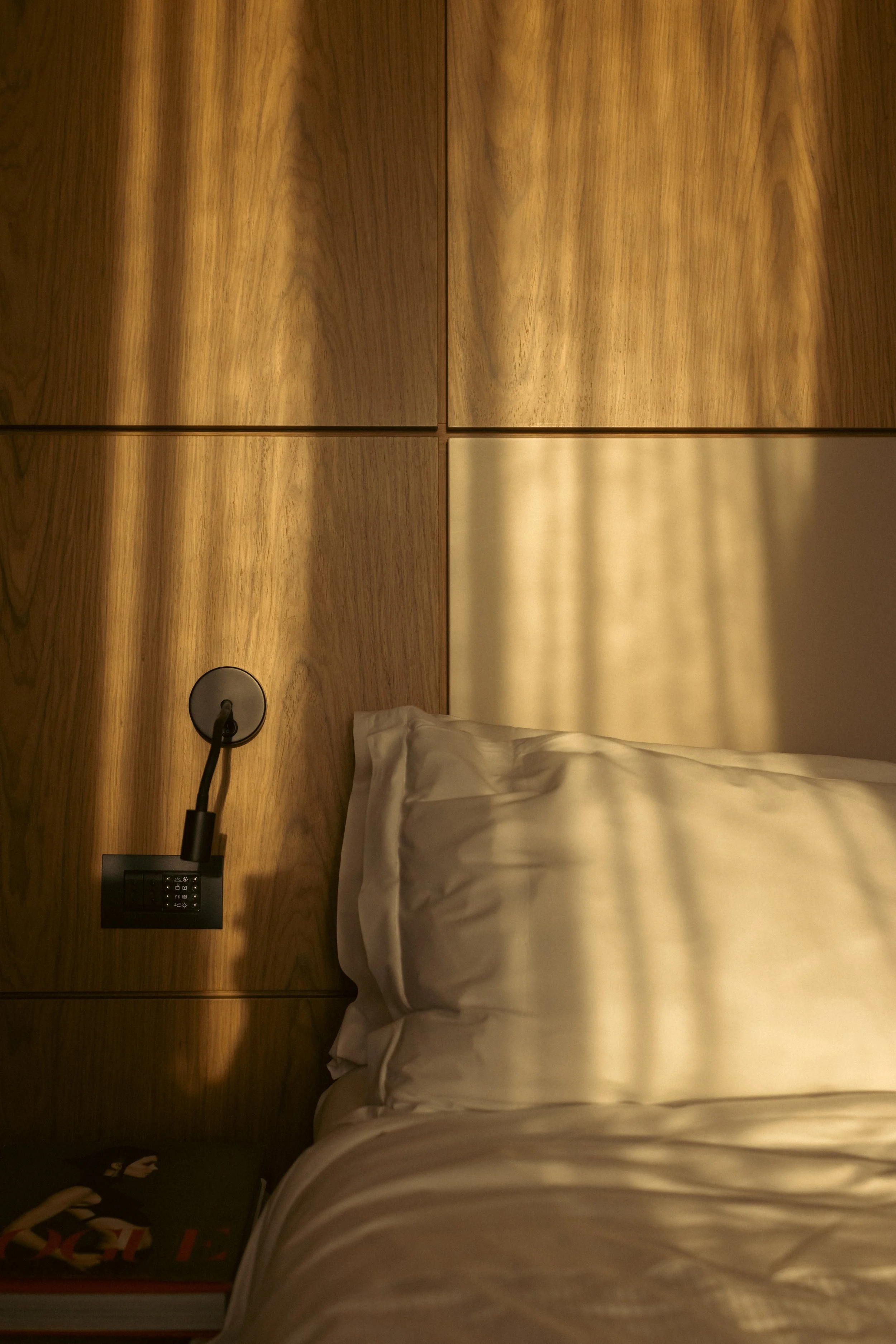 Why We decide before We think