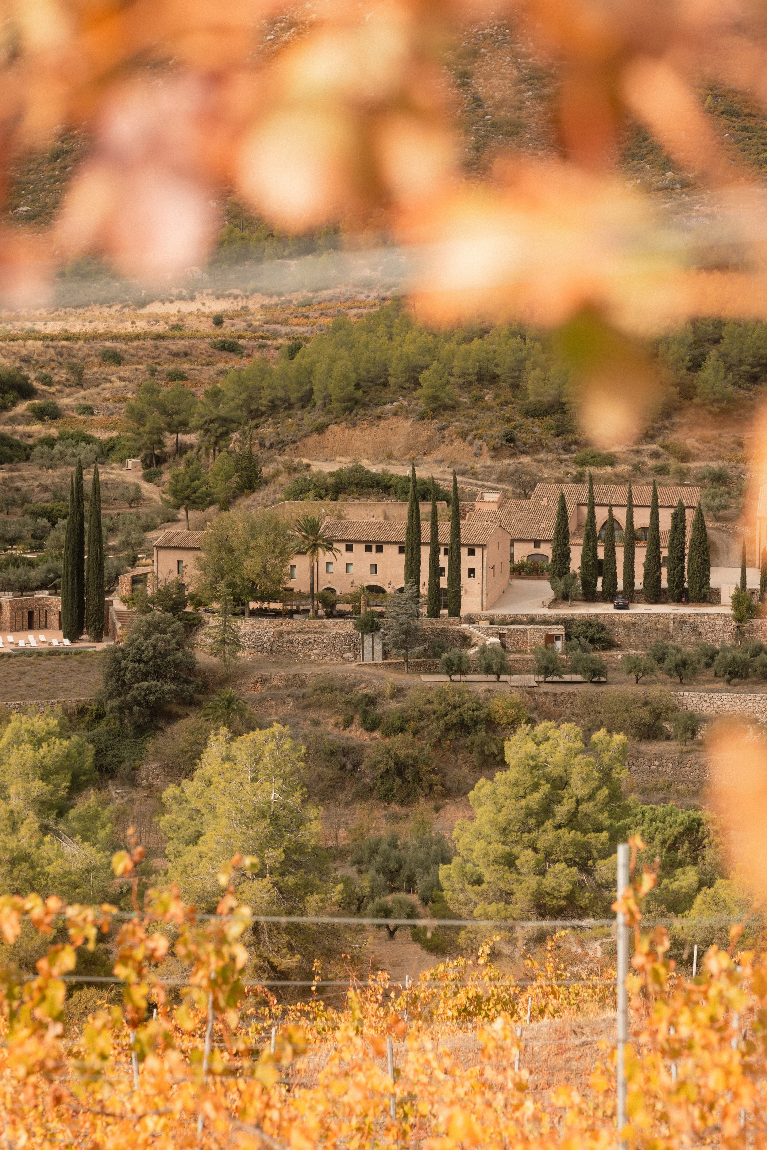 Terra Dominicata luxury boutique hotel exterior. Mediterranean-style estate architecture with cypress trees and autumn rolling hills in Priorat. Professional hospitality and landscape photography by Valerie.