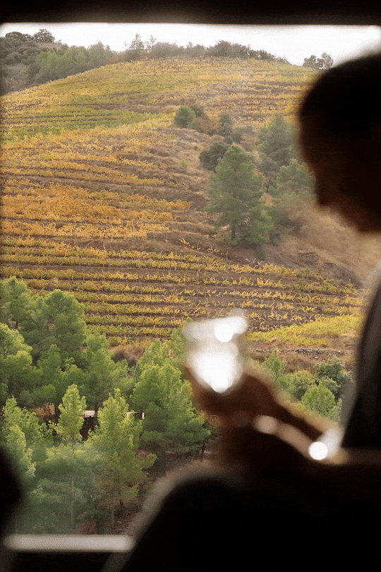 Pure relaxation at Terra Dominicata: soft bokeh surrounding a refreshing glass of water, with the iconic Priorat terraced vineyards in the background.