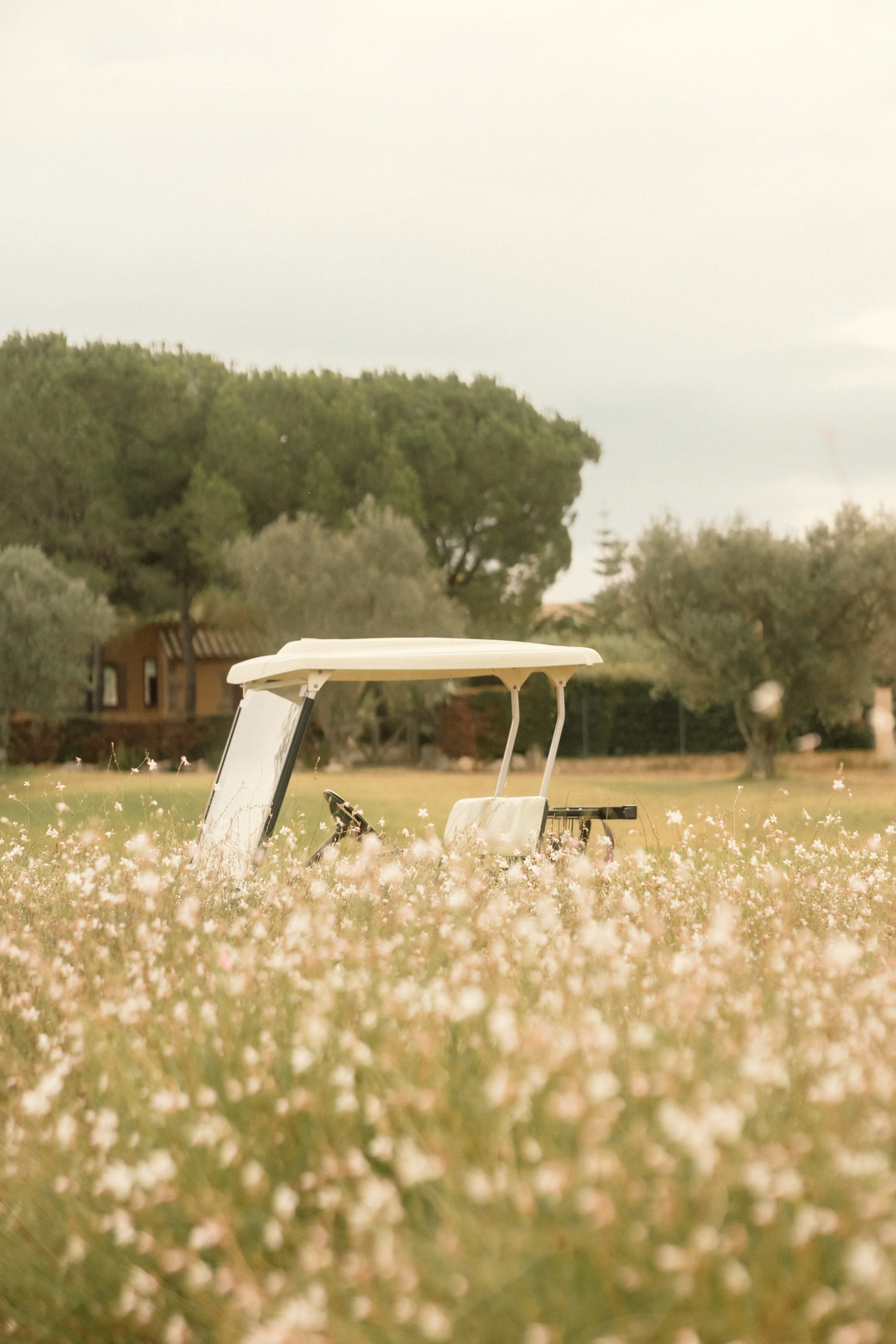 Hotel Peralada grounds with a golf cart, wildflowers and trees, Catalonia, Spain — luxury hotel and resort photography.