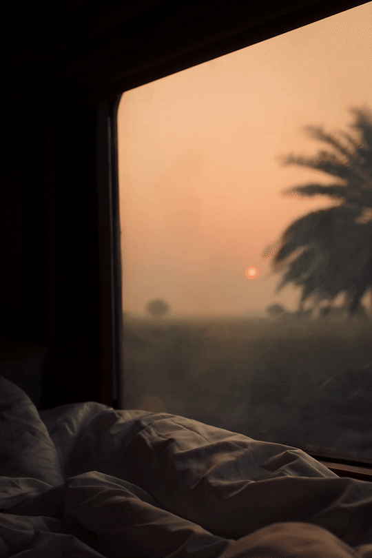 Luxury train travel photography: A POV GIF from a Deccan Odyssey cabin showing the sunset and silhouettes of trees through the window. Professional hospitality and mood imagery.