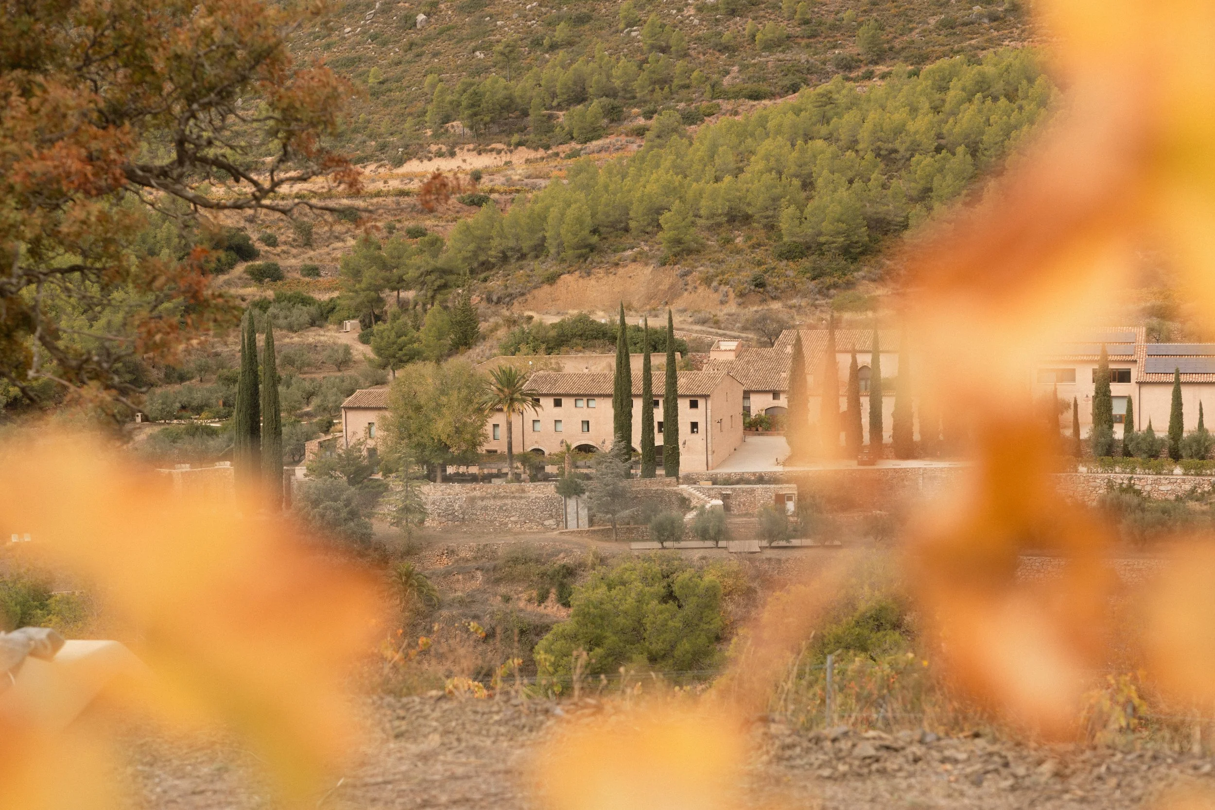 Terra Dominicata luxury boutique hotel in Priorat. Scenic Mediterranean village view with beige architecture, tall cypress trees, and autumn landscape. Professional hospitality photography by Valerie.
