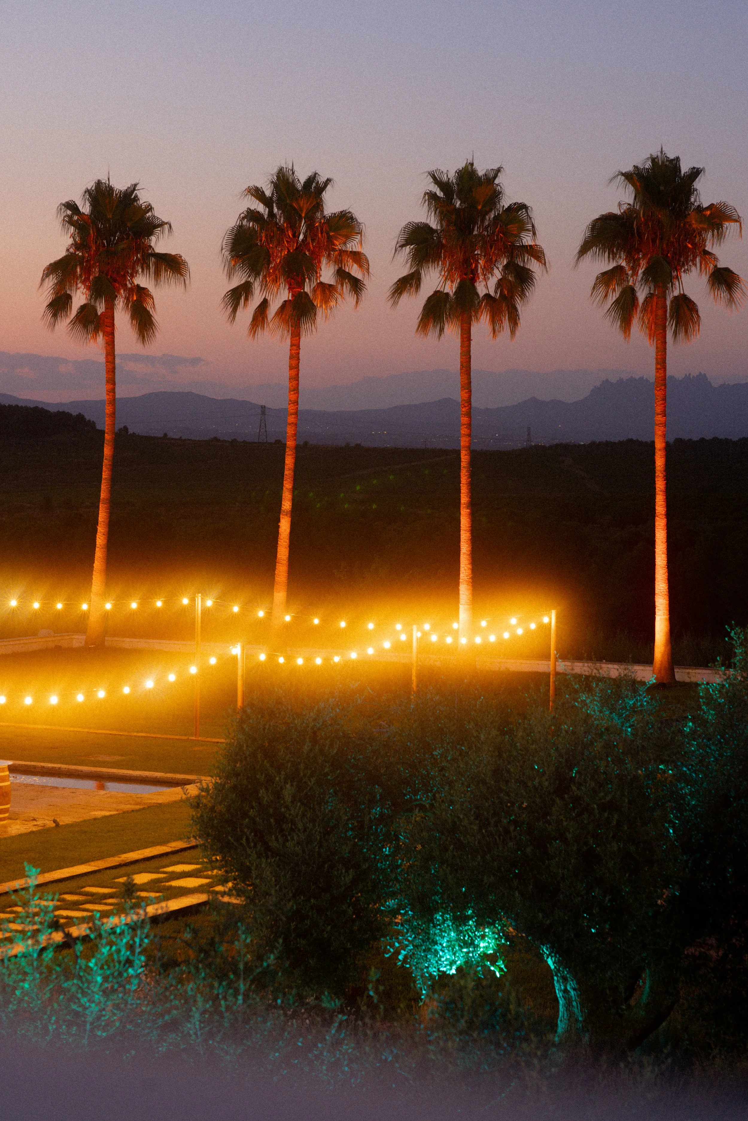Font de la Canya boutique hotel exterior at dusk, with illuminated palm trees and mountains in the background, Catalonia, Spain.