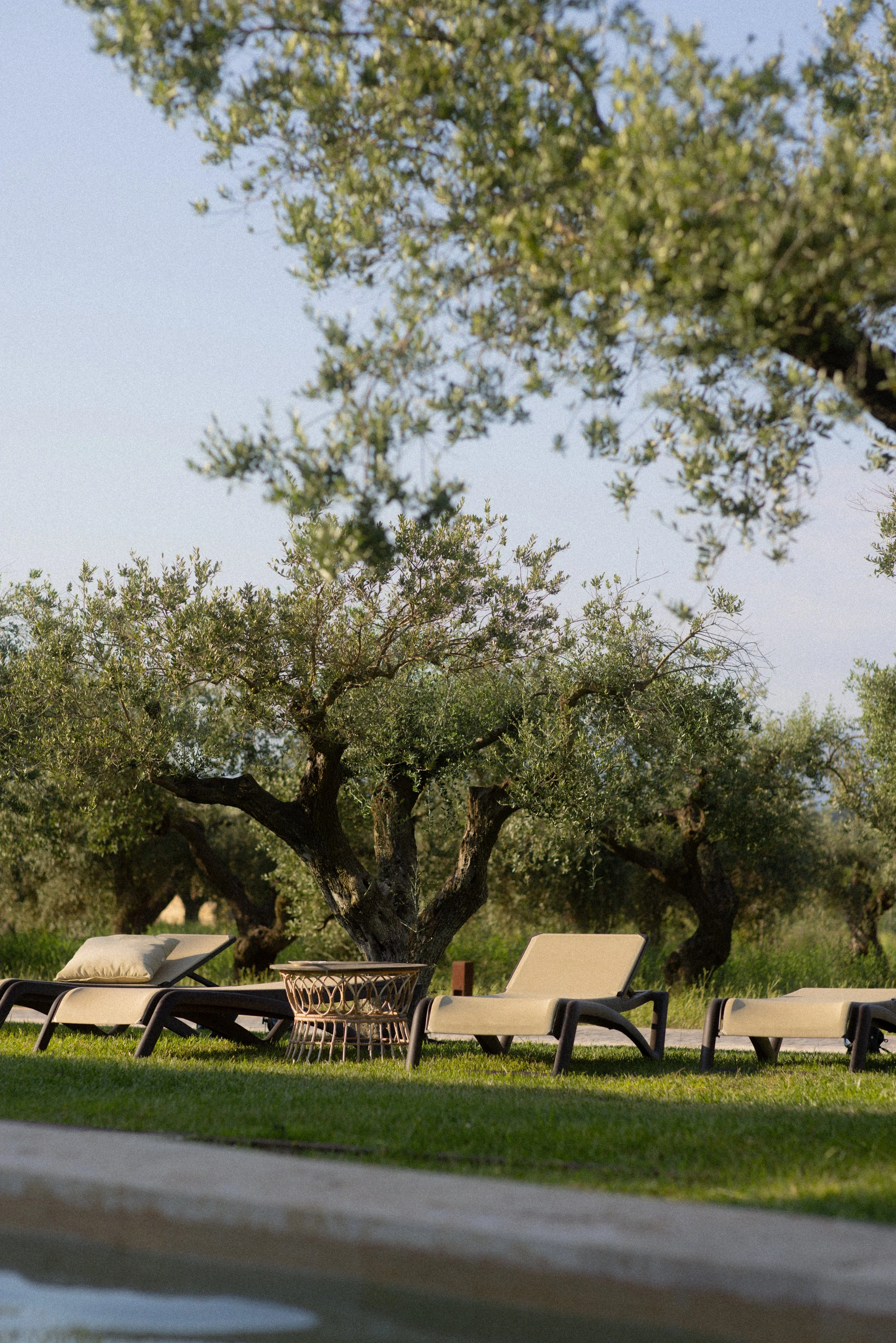 Secluded garden lounge at Font de la Canya: outdoor relaxation area with luxury hotel seating under Mediterranean trees.