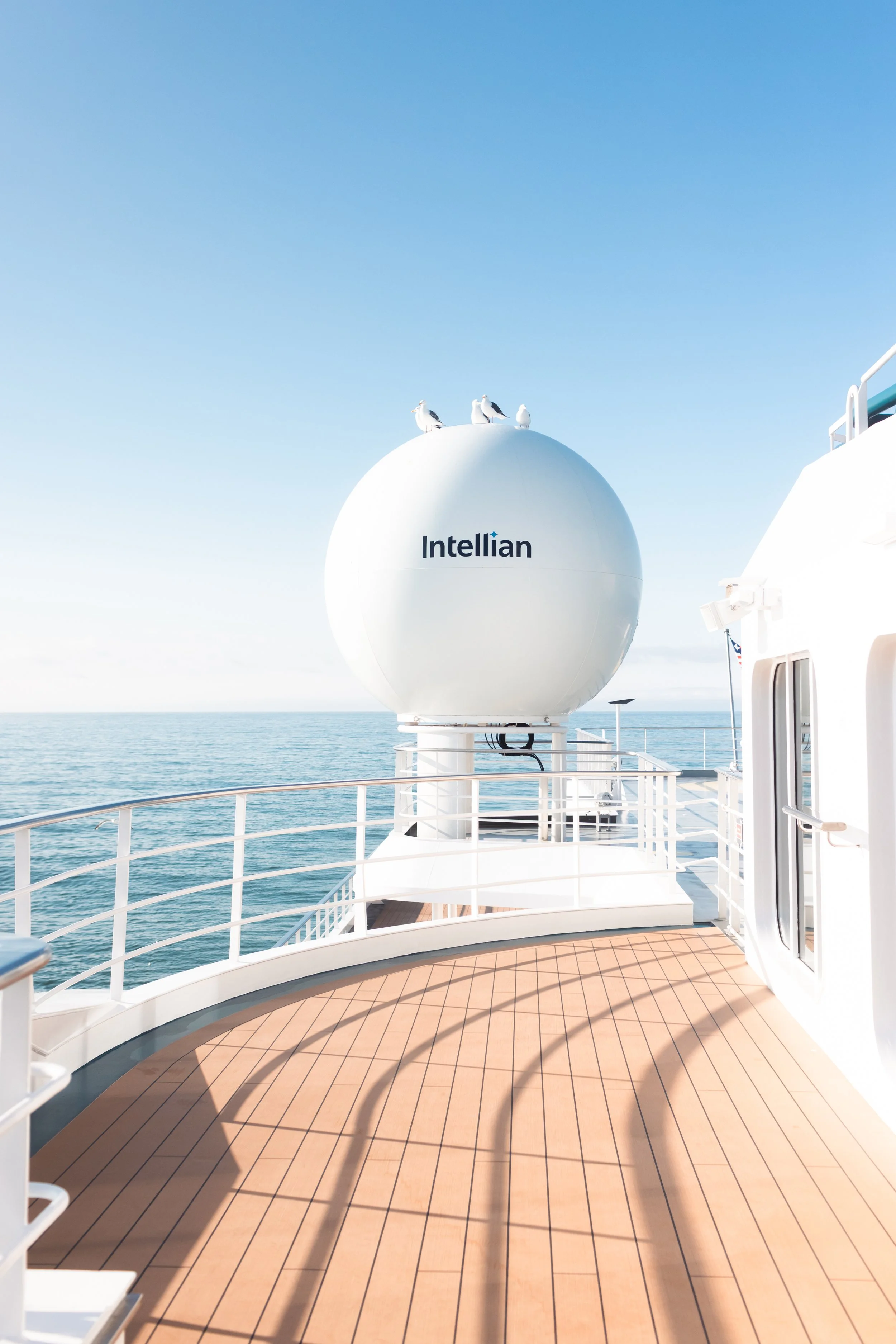 Expedition cruise photography showing ship details, seagulls and open ocean
