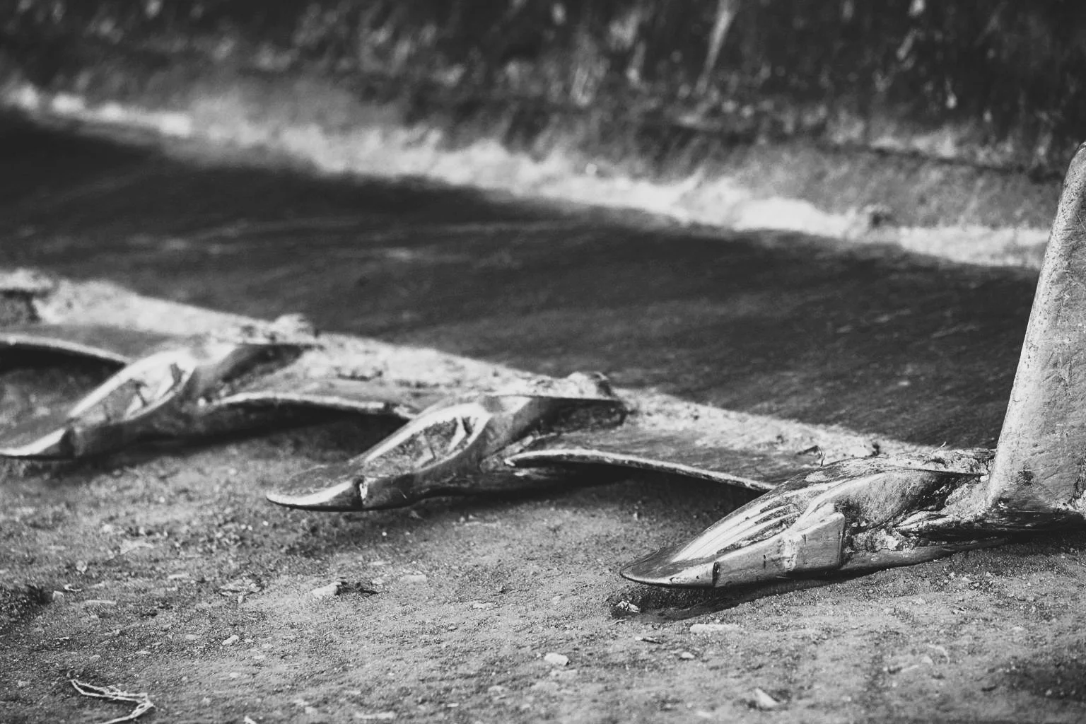 Close-up of a ship's propeller blades on concrete ground, black and white photograph.